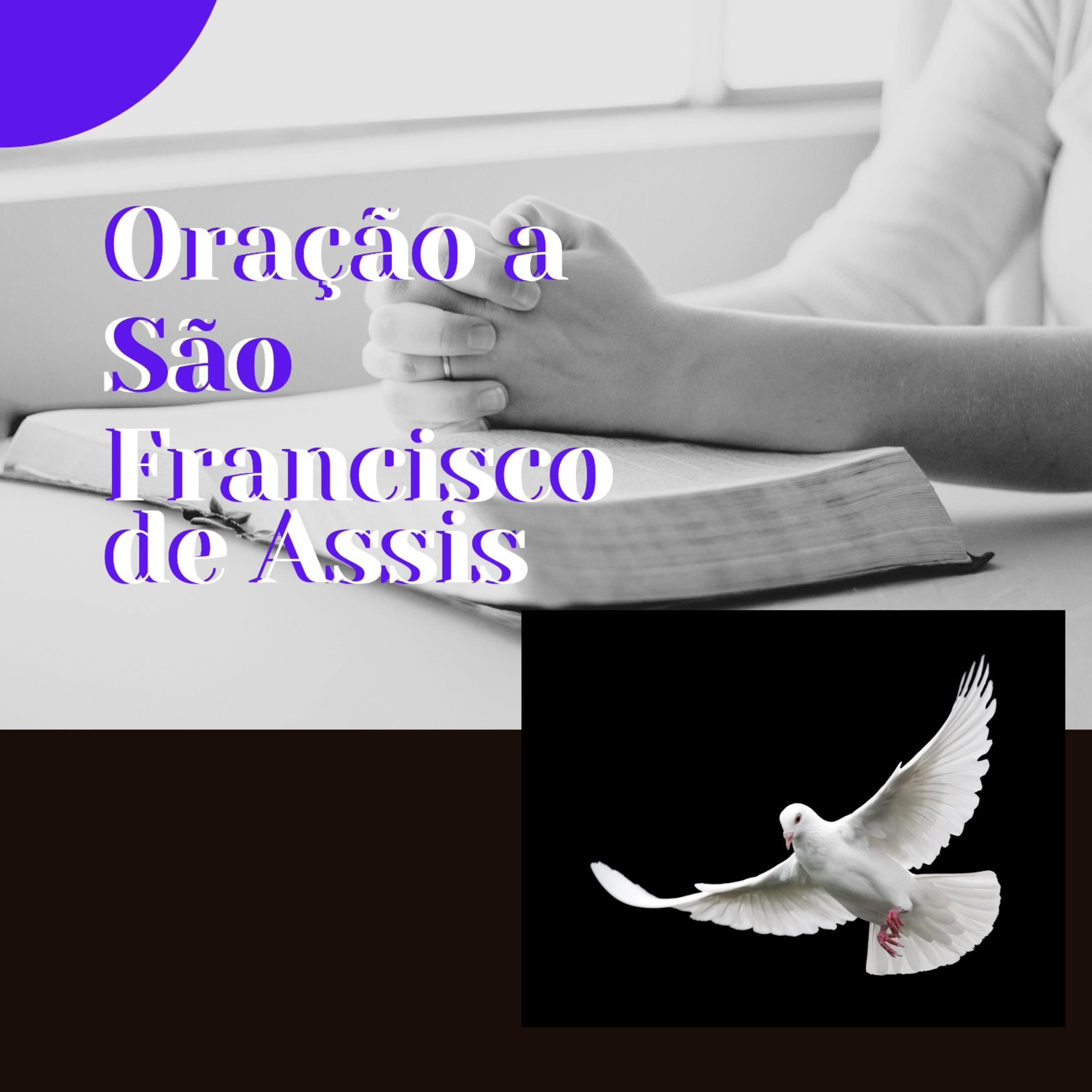 Os Novenáticos