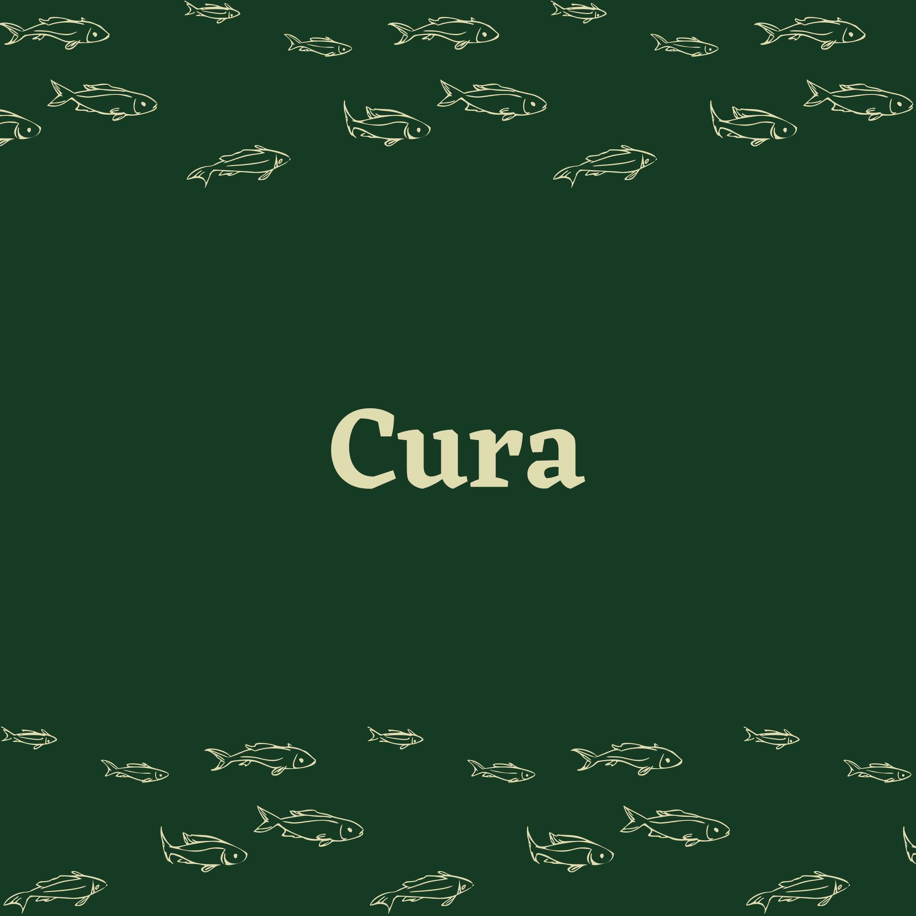 Cura