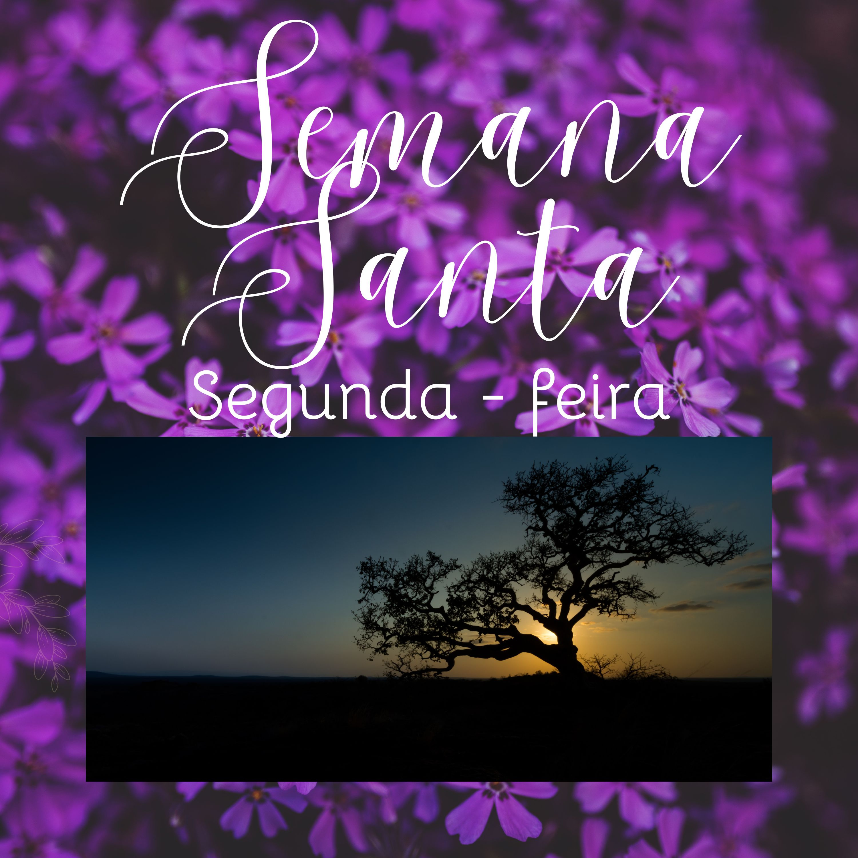 Segunda - feira Santa