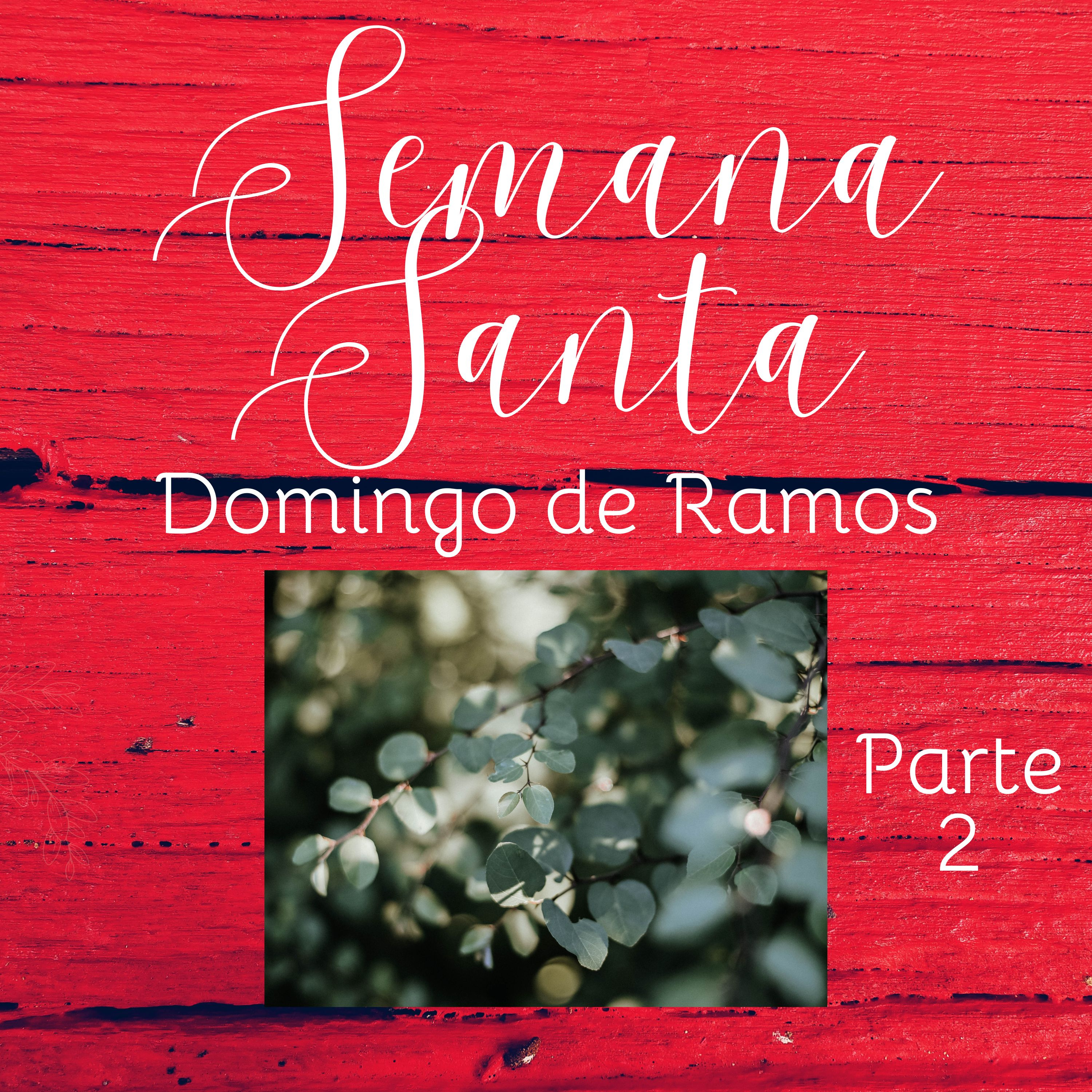 Domingo de Ramos - Parte 2