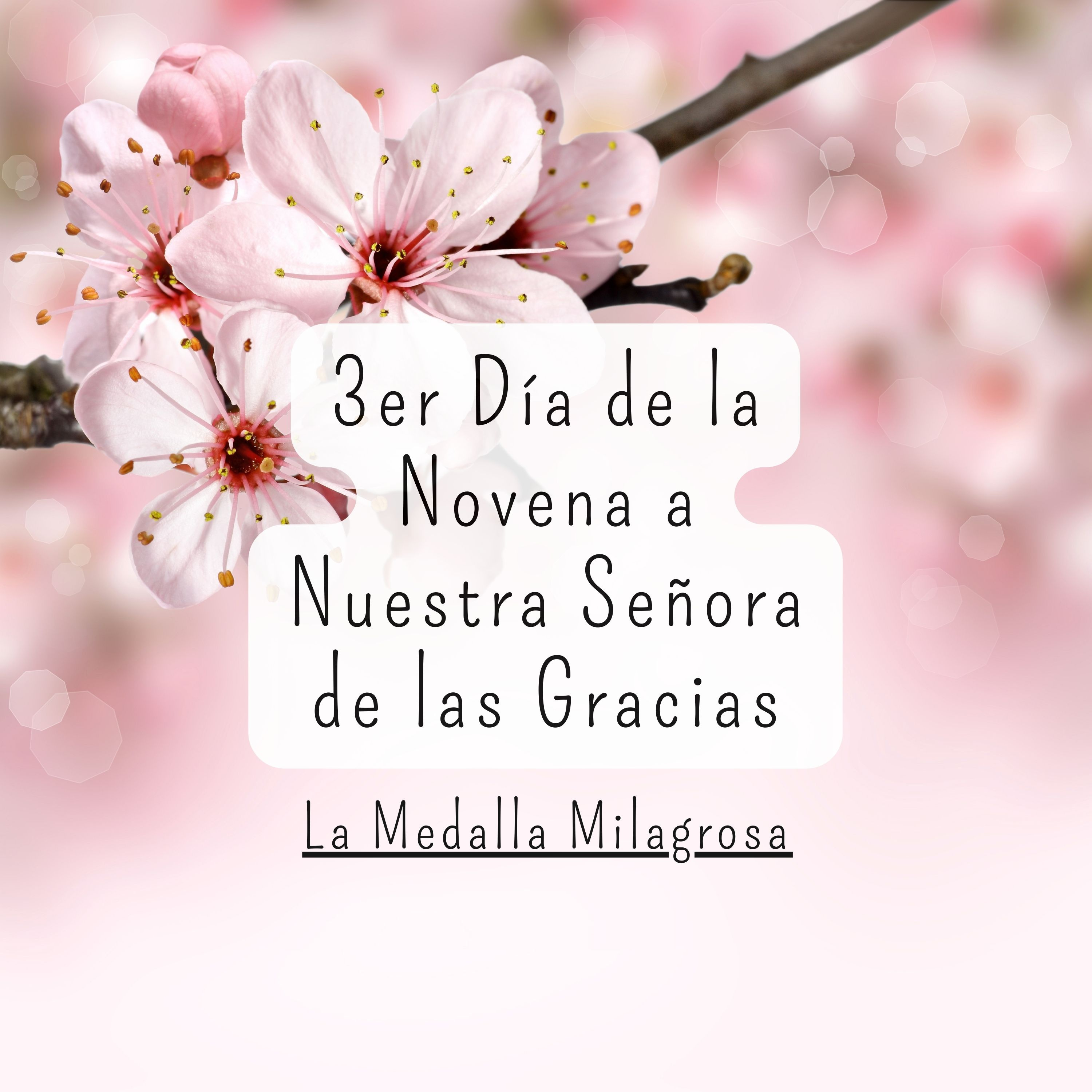 3er Día de la Novena a Nuestra Señora de las Gracias episode artwork