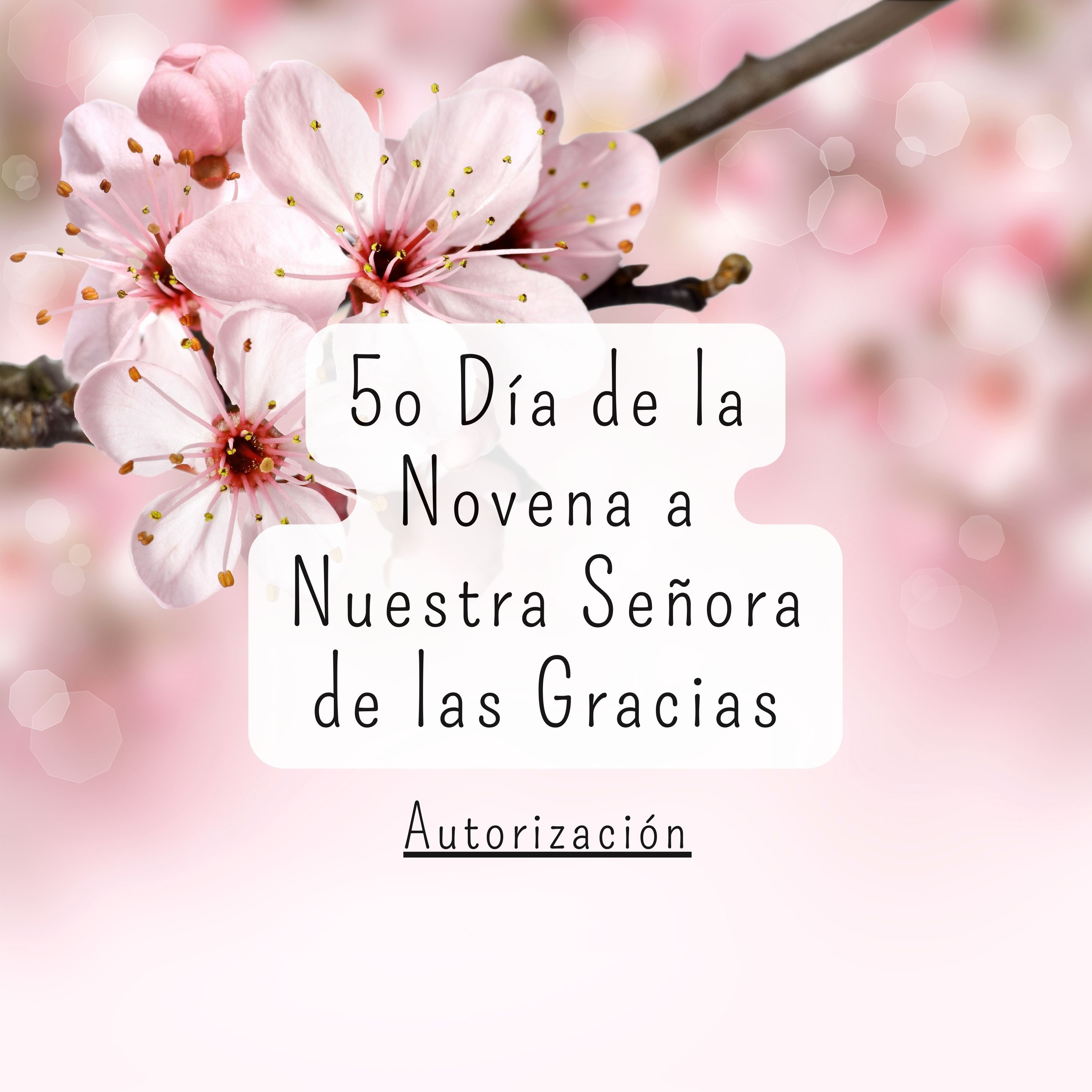 5º Día de la Novena a Nuestra Señora de las Gracias episode artwork
