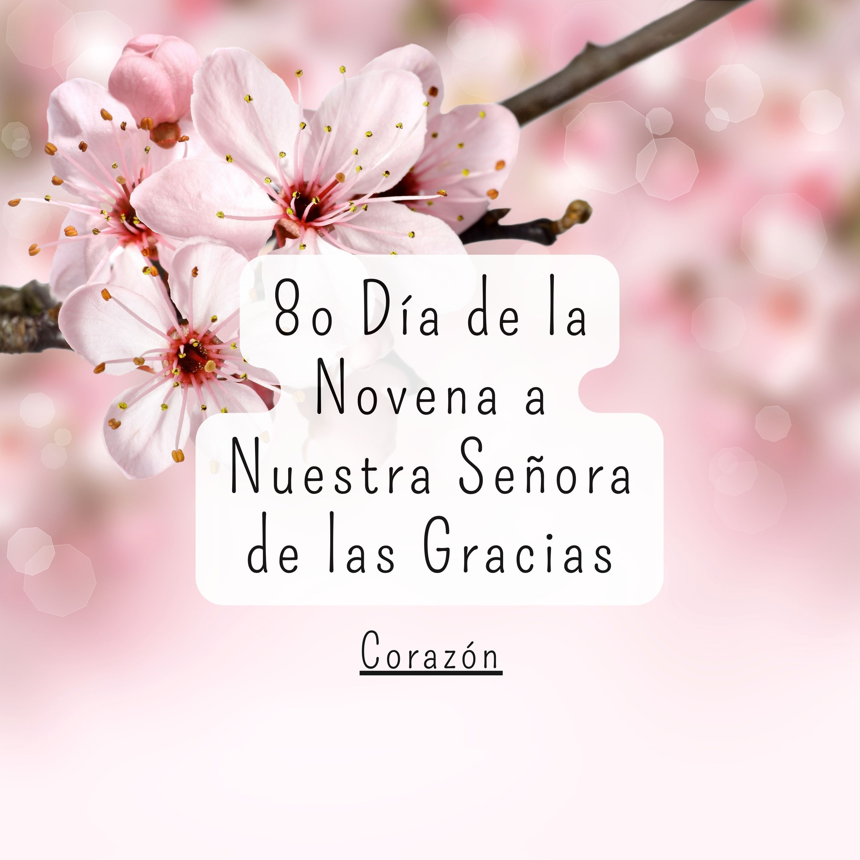 8º Día de la Novena a Nuestra Señora de las Gracias episode artwork