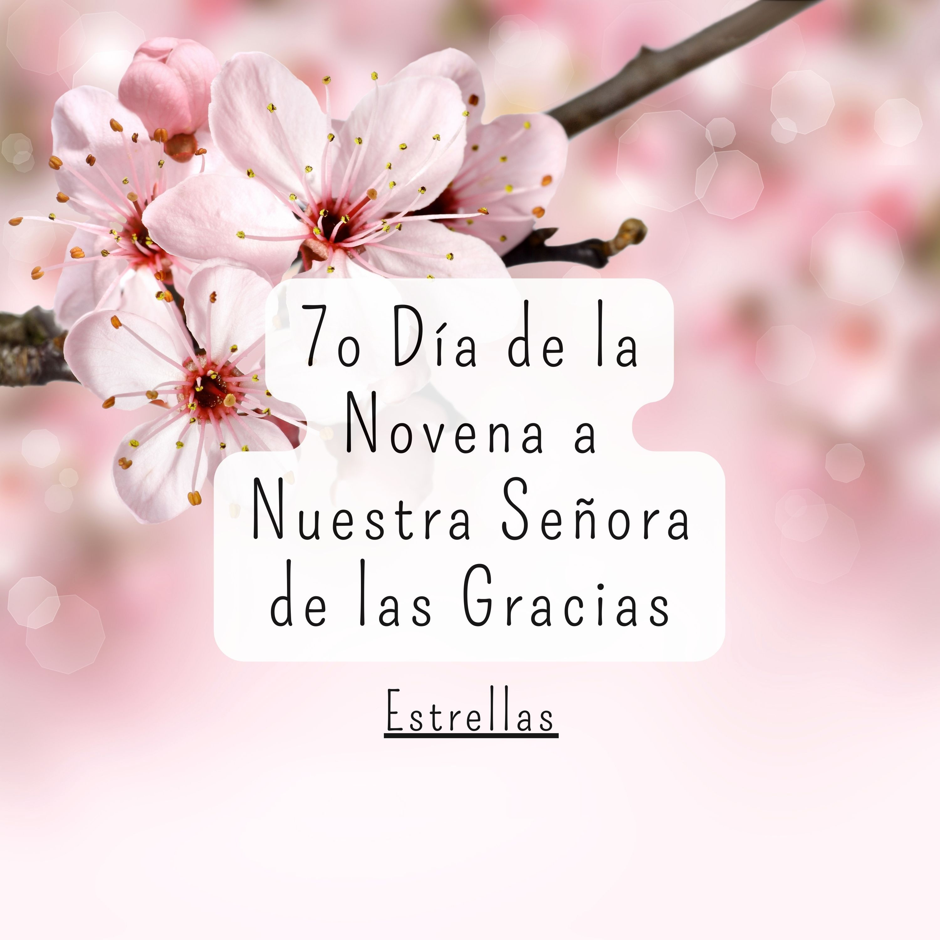 7º Día de la Novena de Nuestra Señora de las Gracias episode artwork