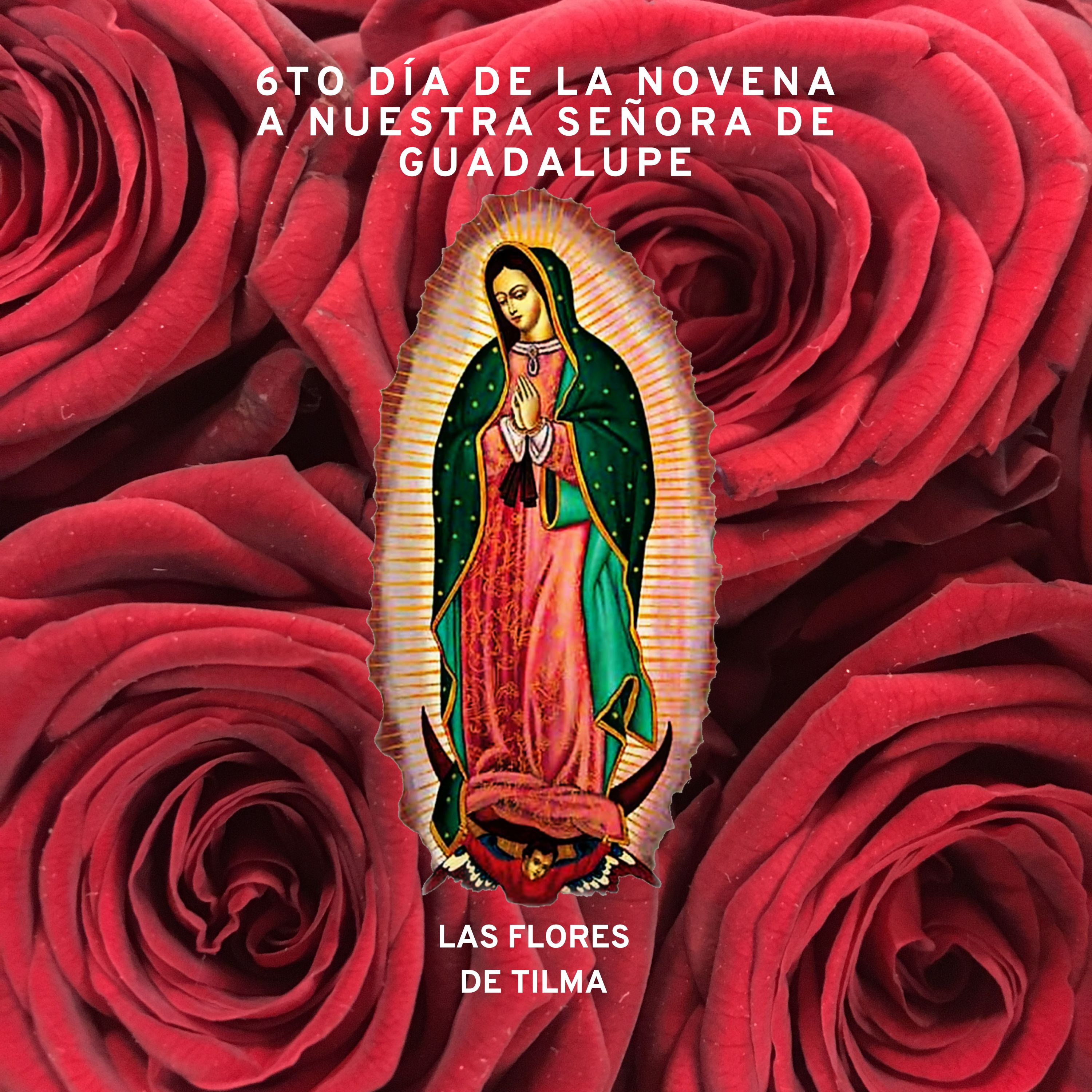 6º Día de la Novena a Nuestra Señora de Guadalupe episode artwork