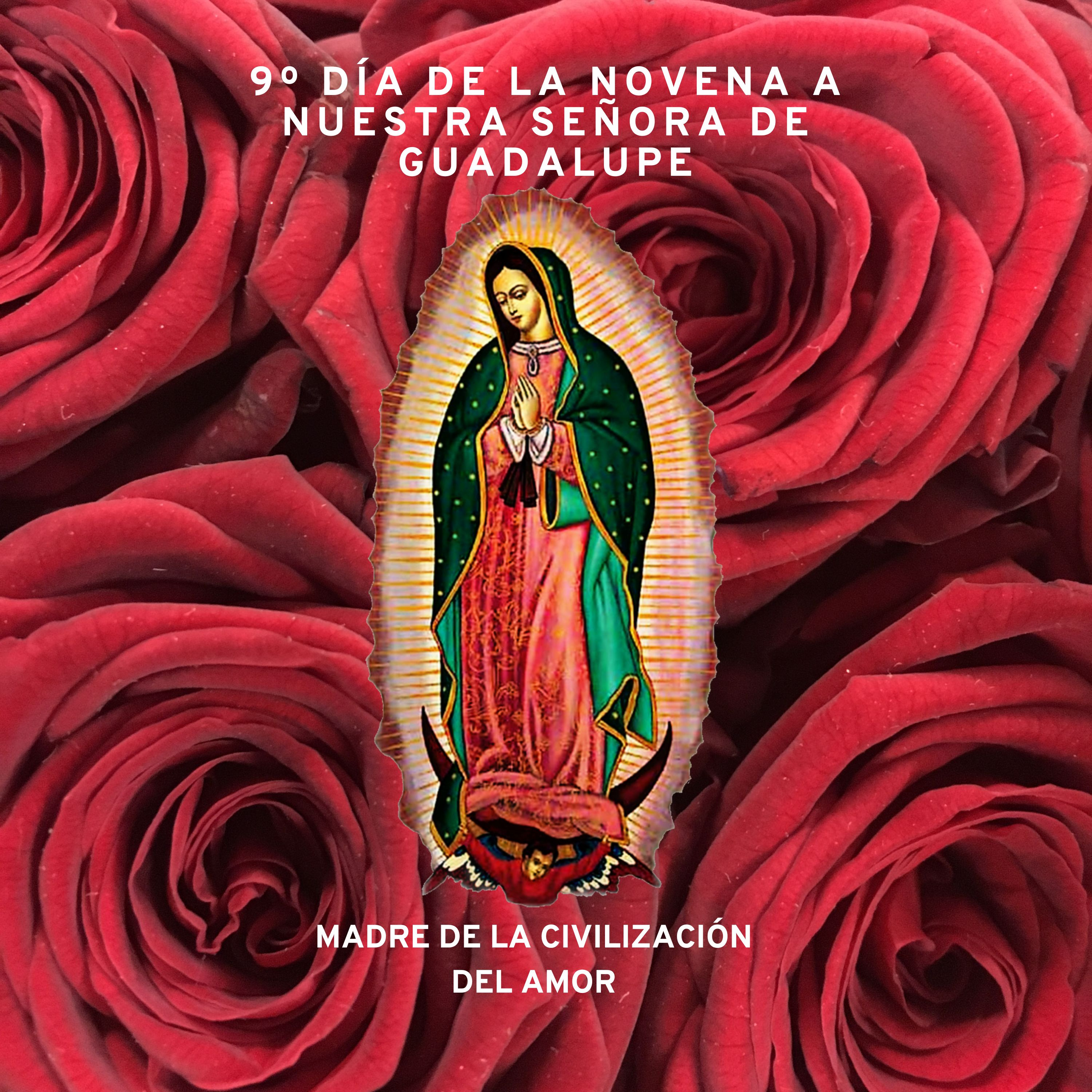 9º Día de la Novena a Nuestra Señora de Guadalupe episode artwork
