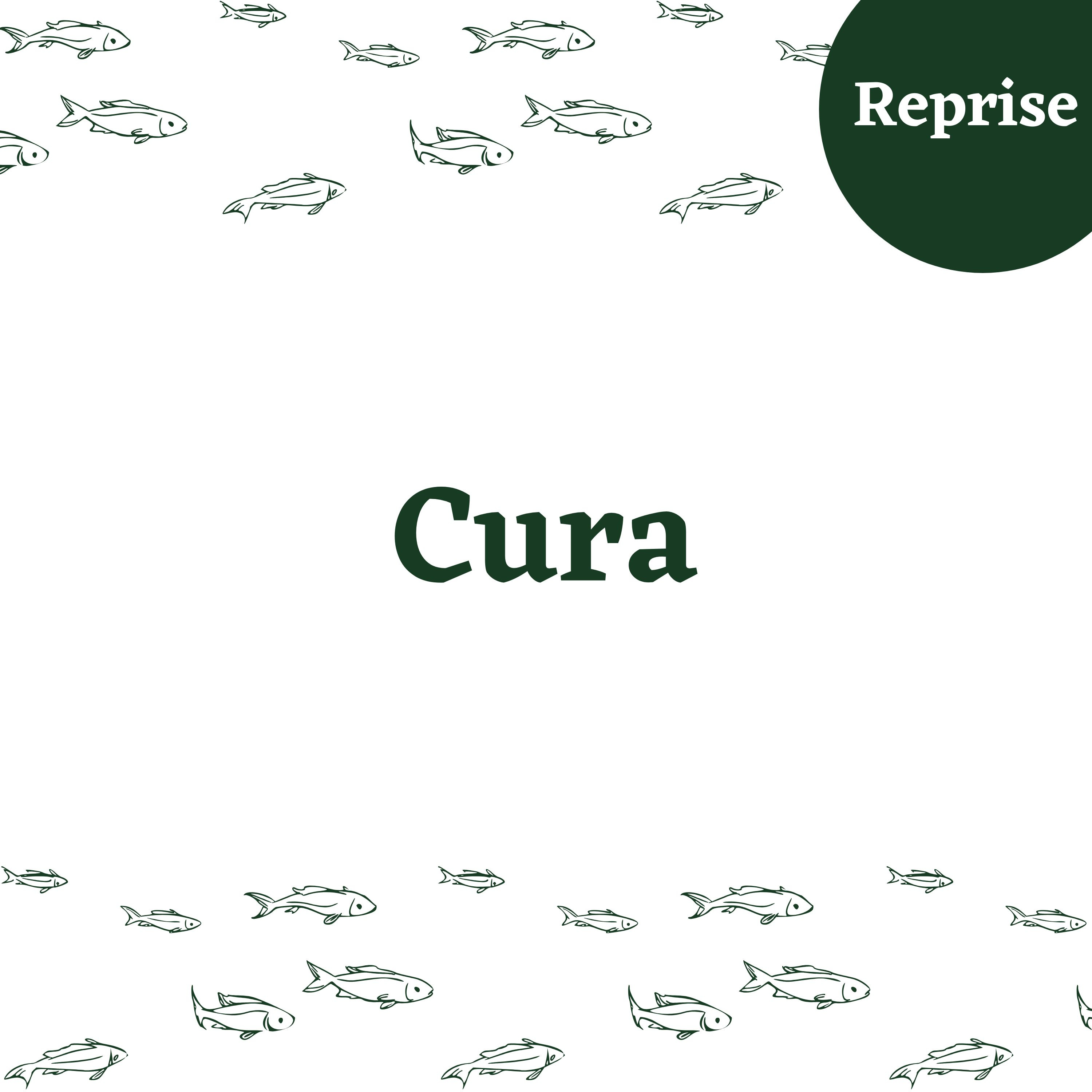 Reprise do Episódio Cura