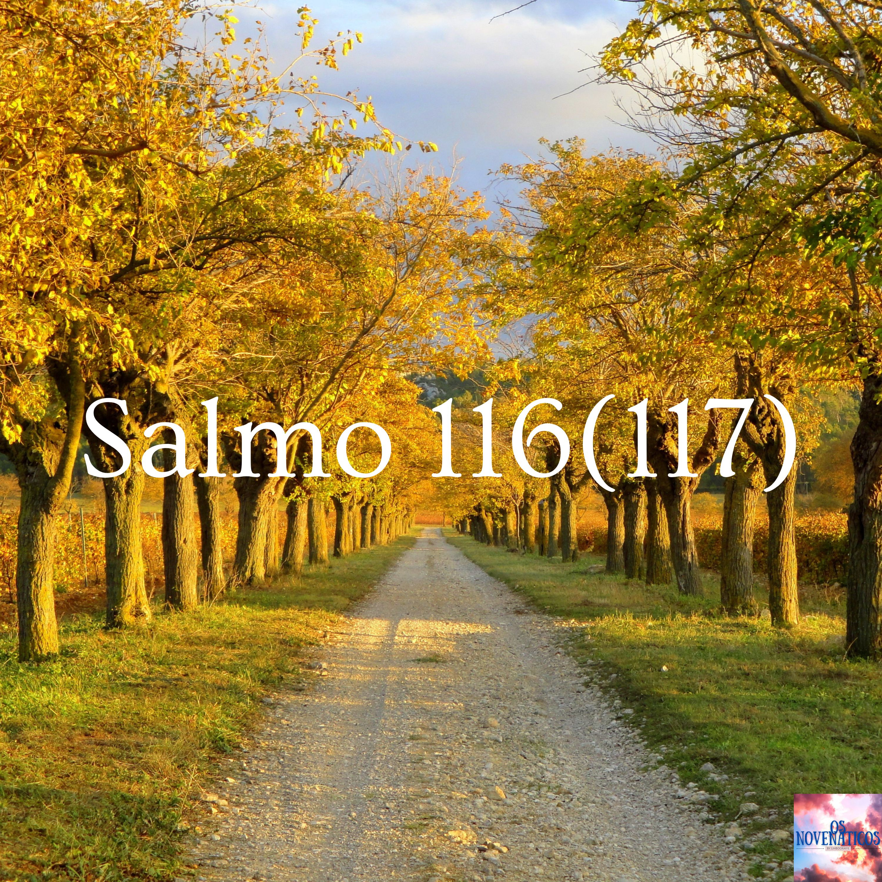 Salmo 116 (117)