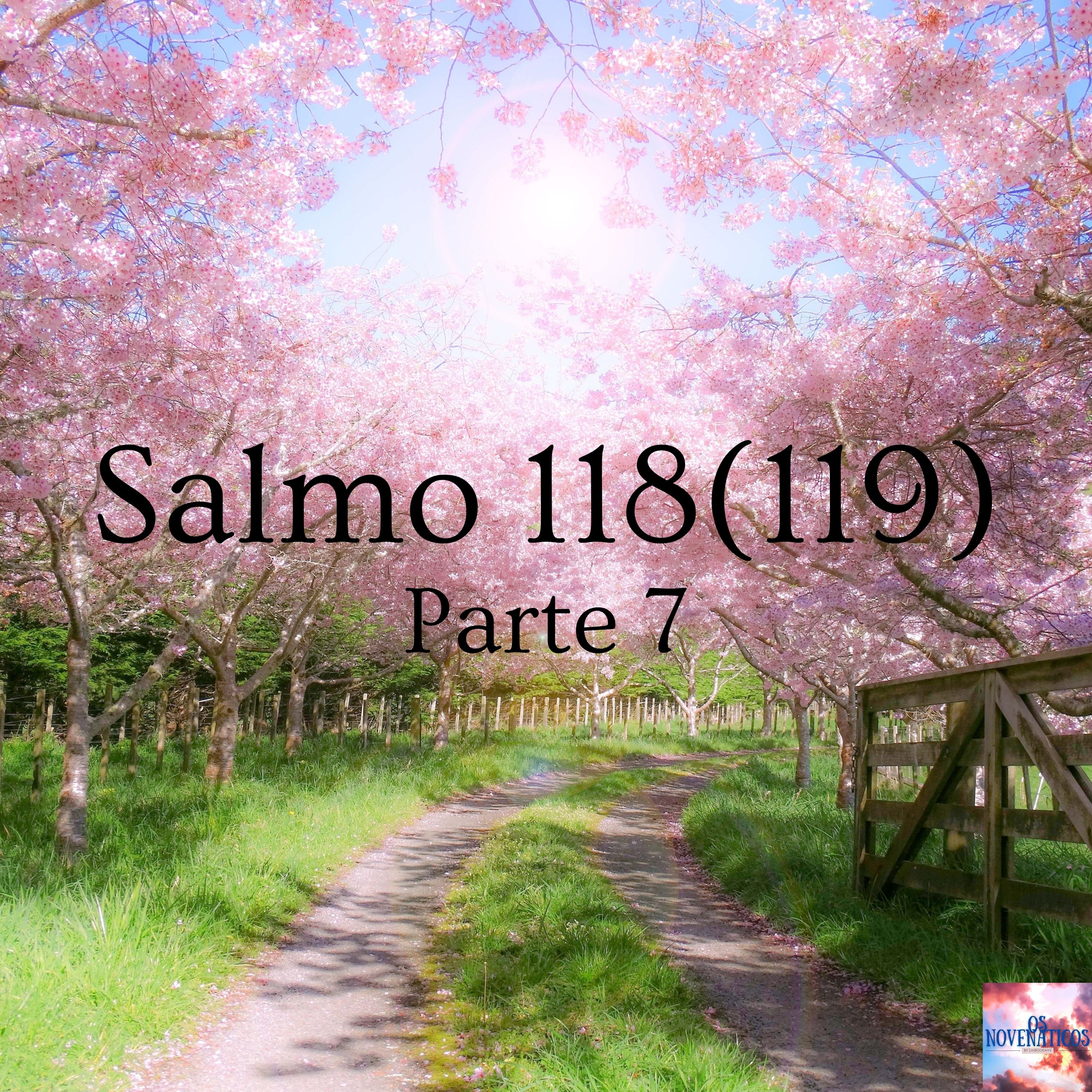 Salmo 118 (119) - parte 7