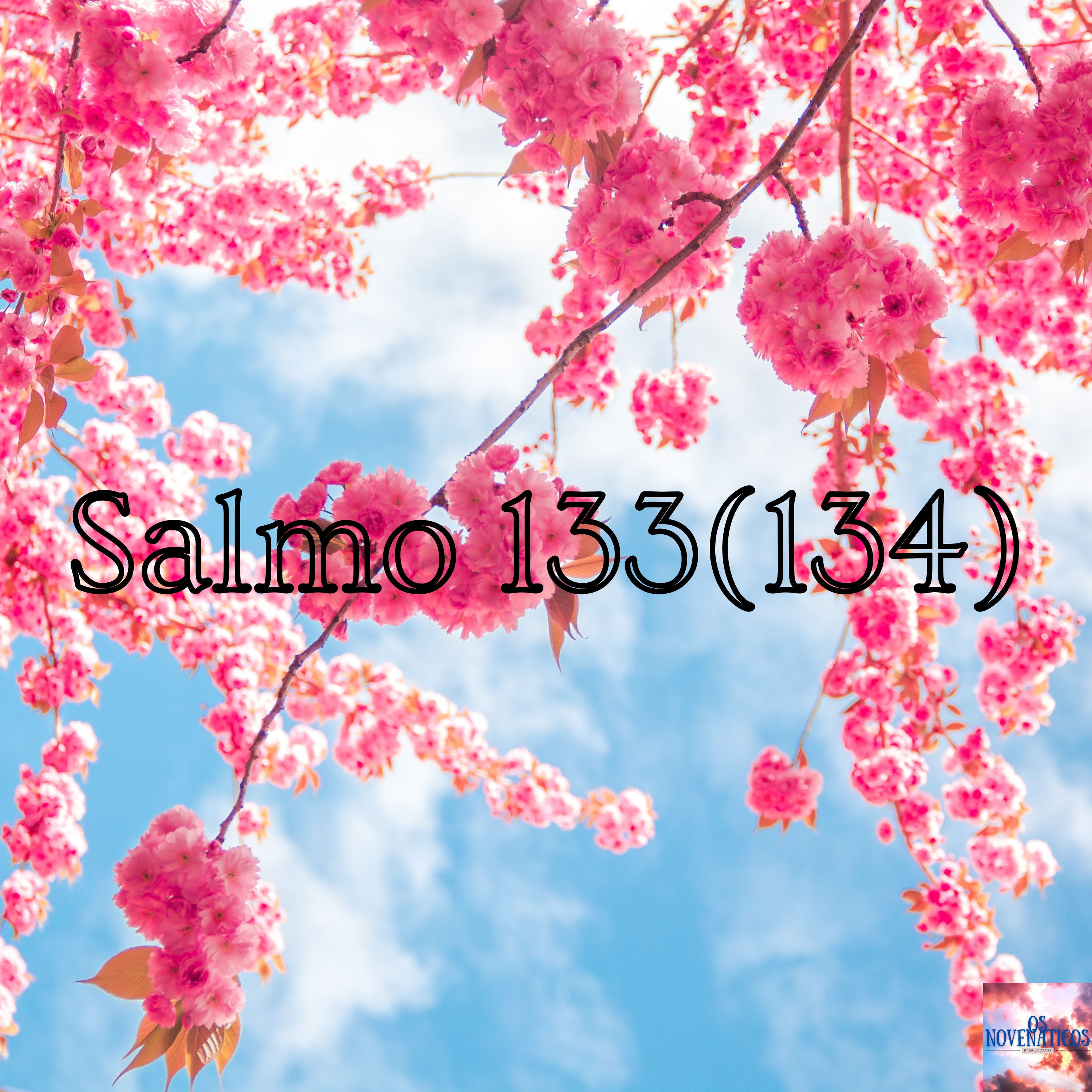 Salmo 133 (134)