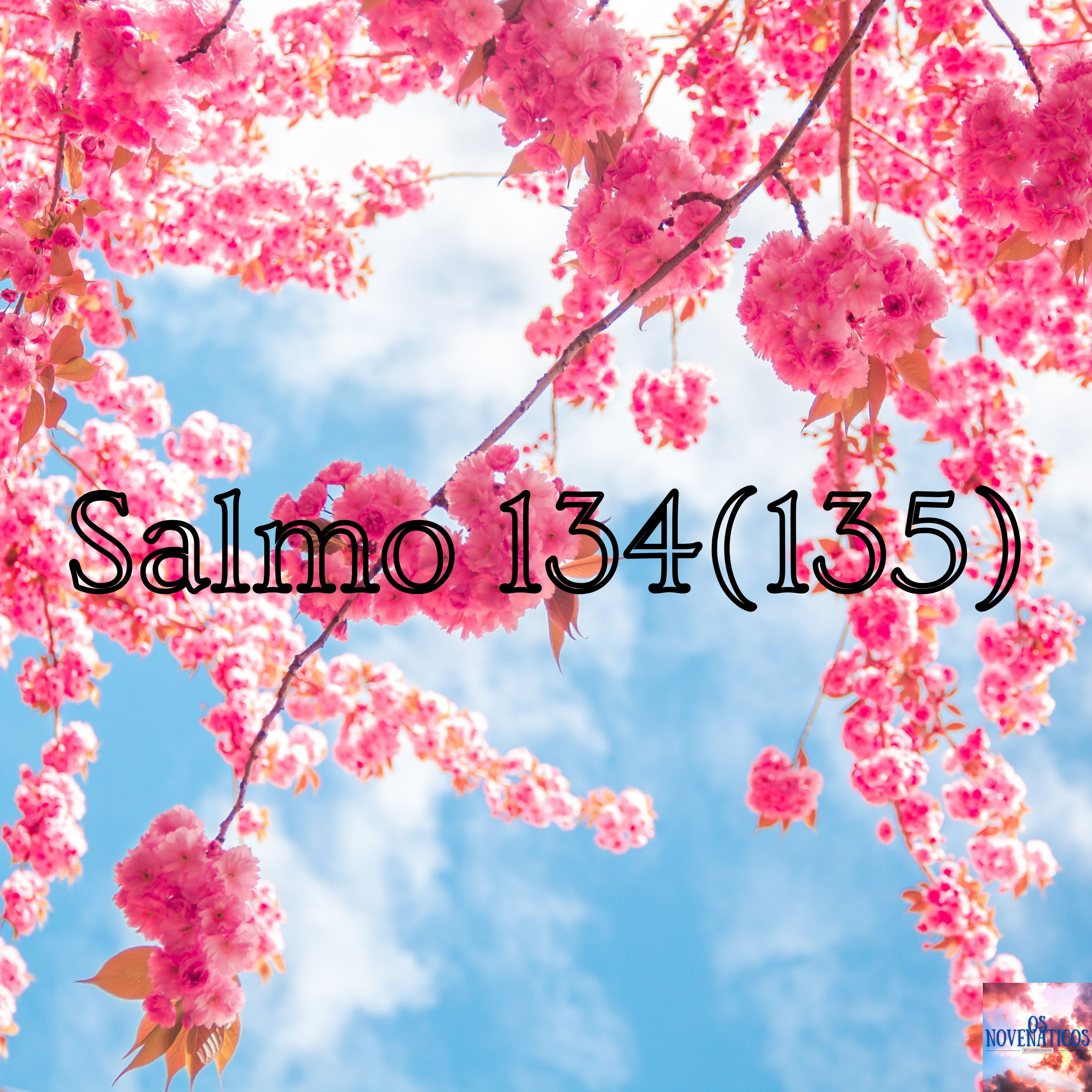 Salmo 134 (135)