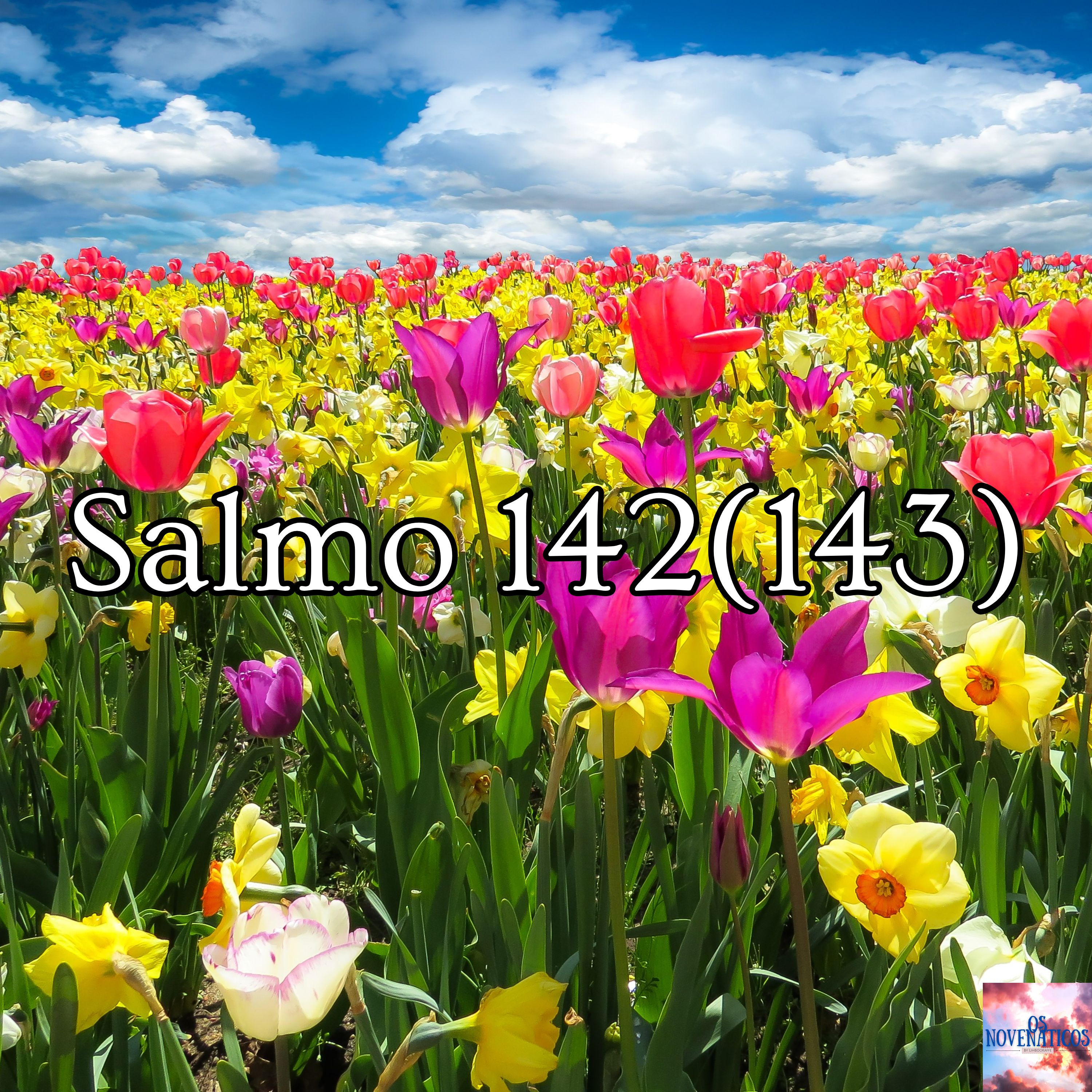 Salmo 142 (143)