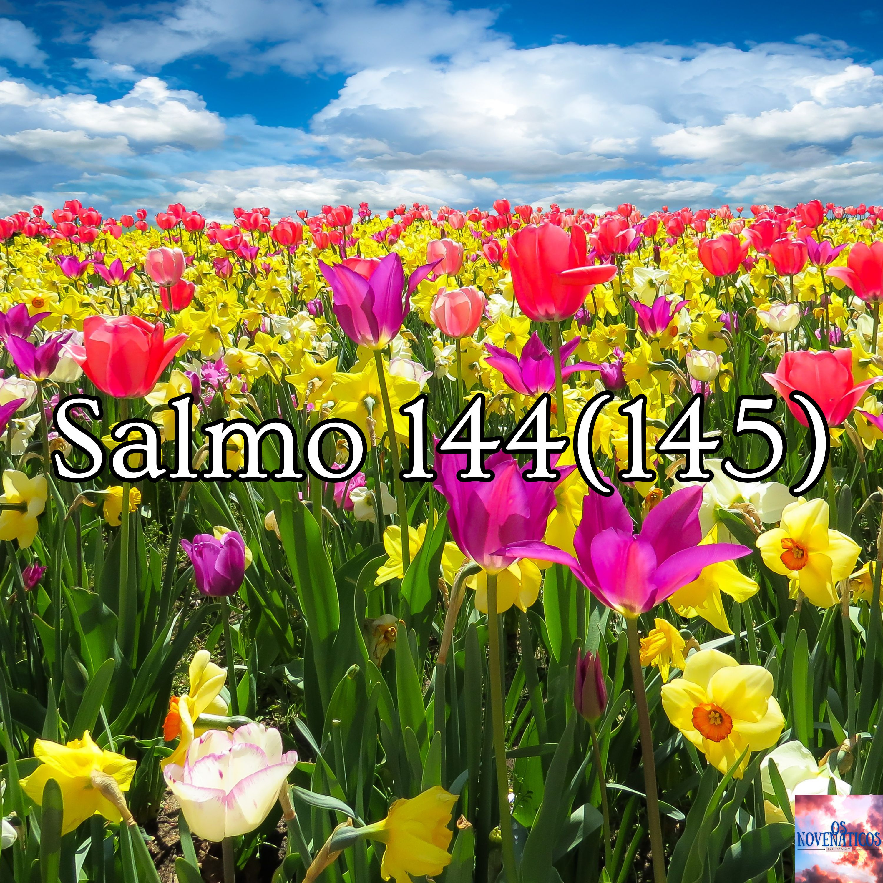Salmo 144 (145)
