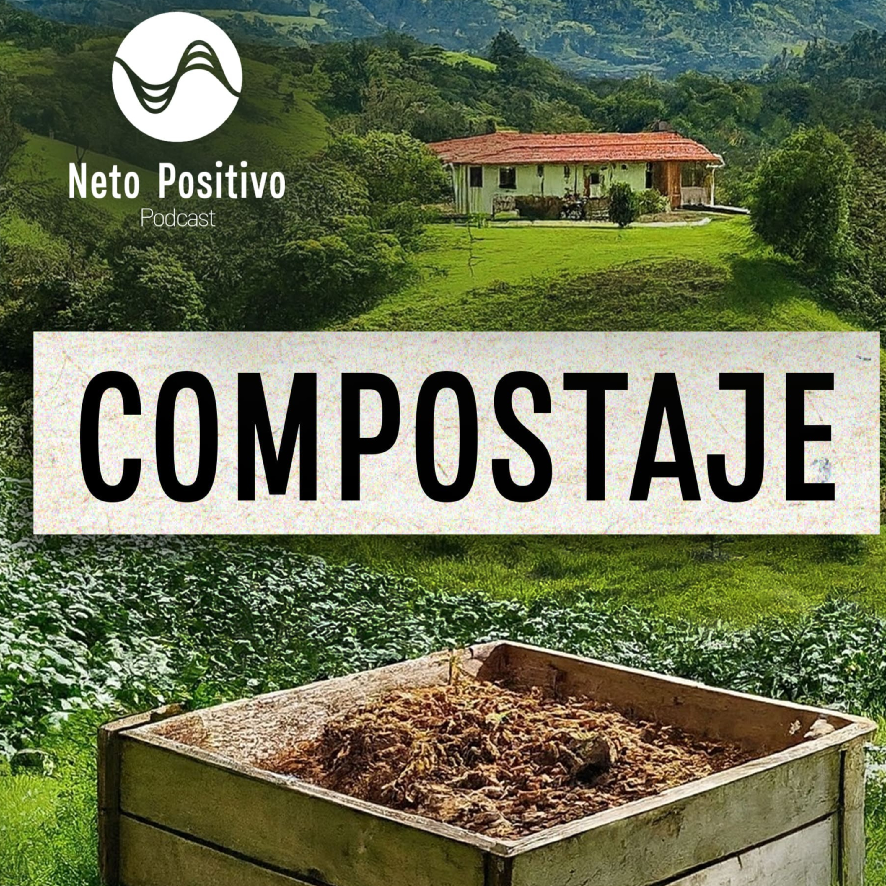 Neto Positivo