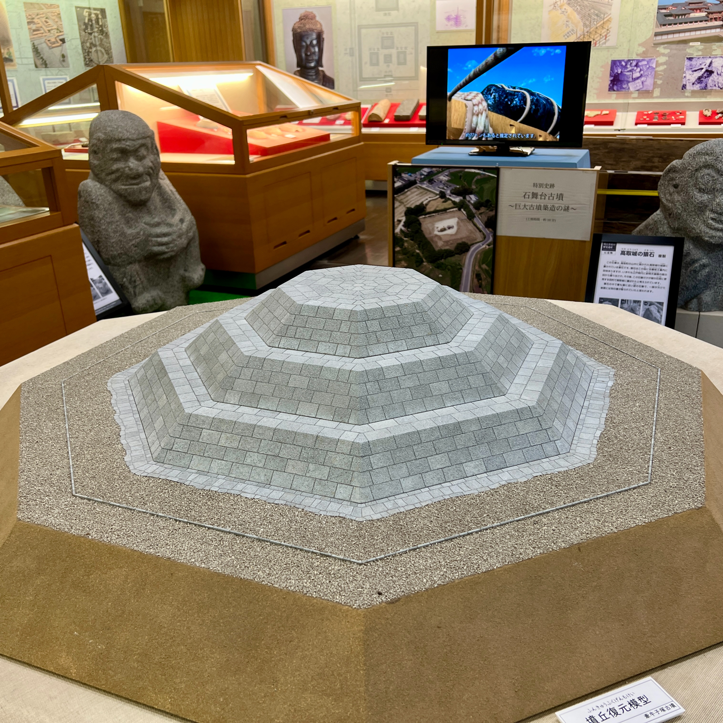 馬見丘陵公園 のひまわり／藤原宮跡の蓮／「飛鳥・藤原の宮都」パブリックビューイング／他 episode artwork