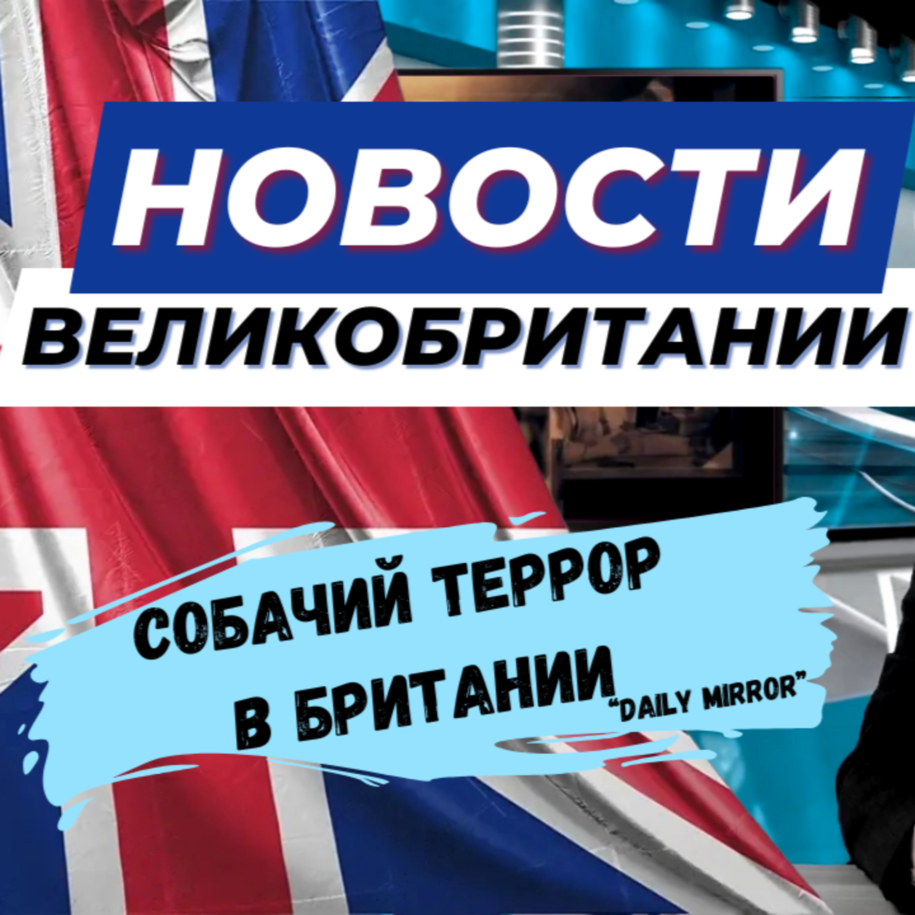 11/09/23 Собачий террор на улицах Британии. Рецидивист -беглец пойман. Ванна посреди коридора.
