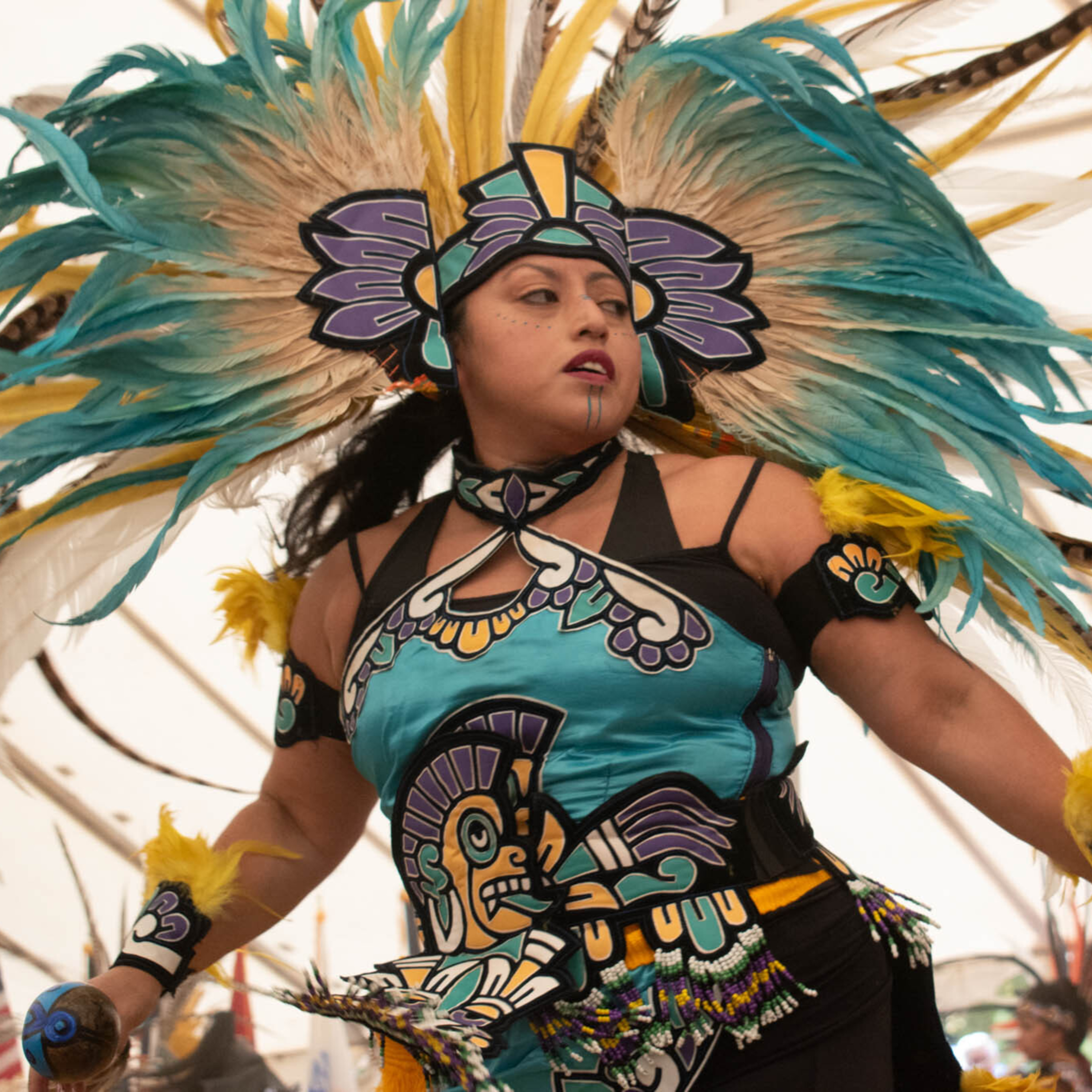 Sacred Springs Powwow Reunites Indigenous People With Their Cultural Heritage episode artwork