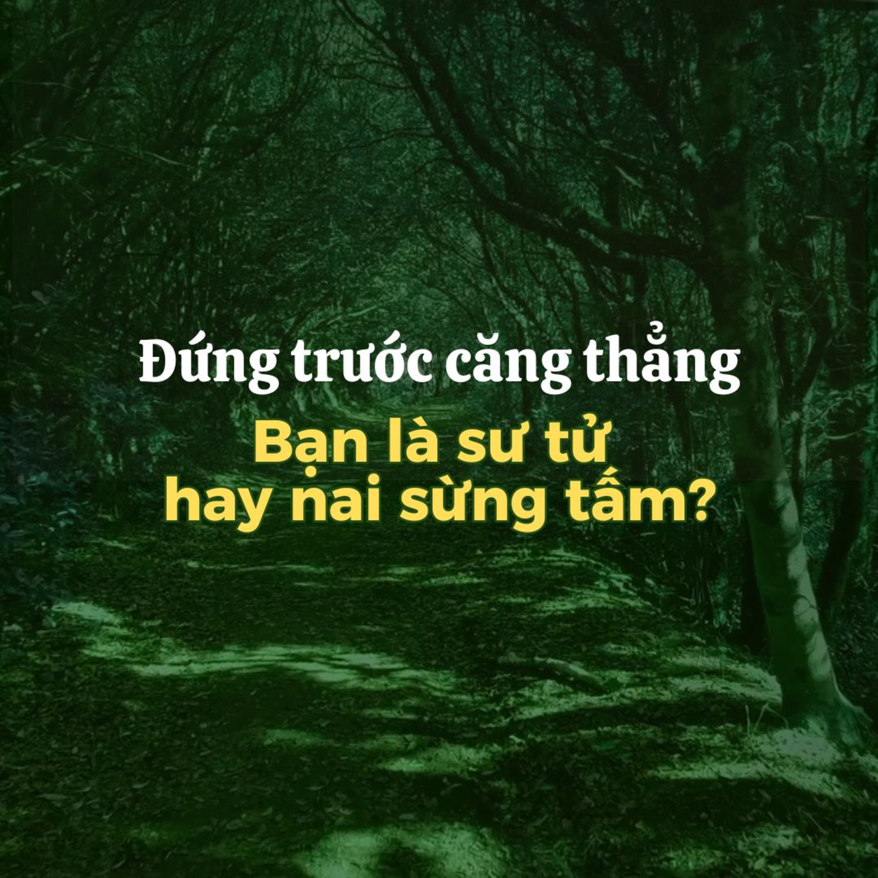 Đi & Học | Đứng trước căng thẳng: Bạn là sư tử hay nai sừng tấm?