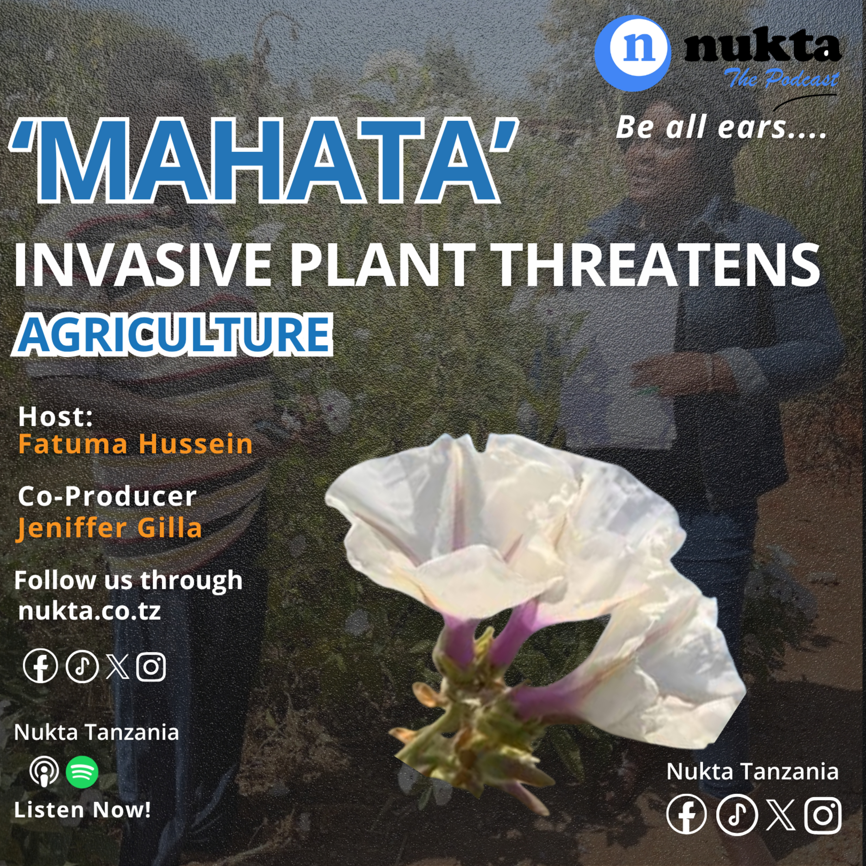 MAHATA: INVASIVE PLANT THREATENS AGRICULTURE
