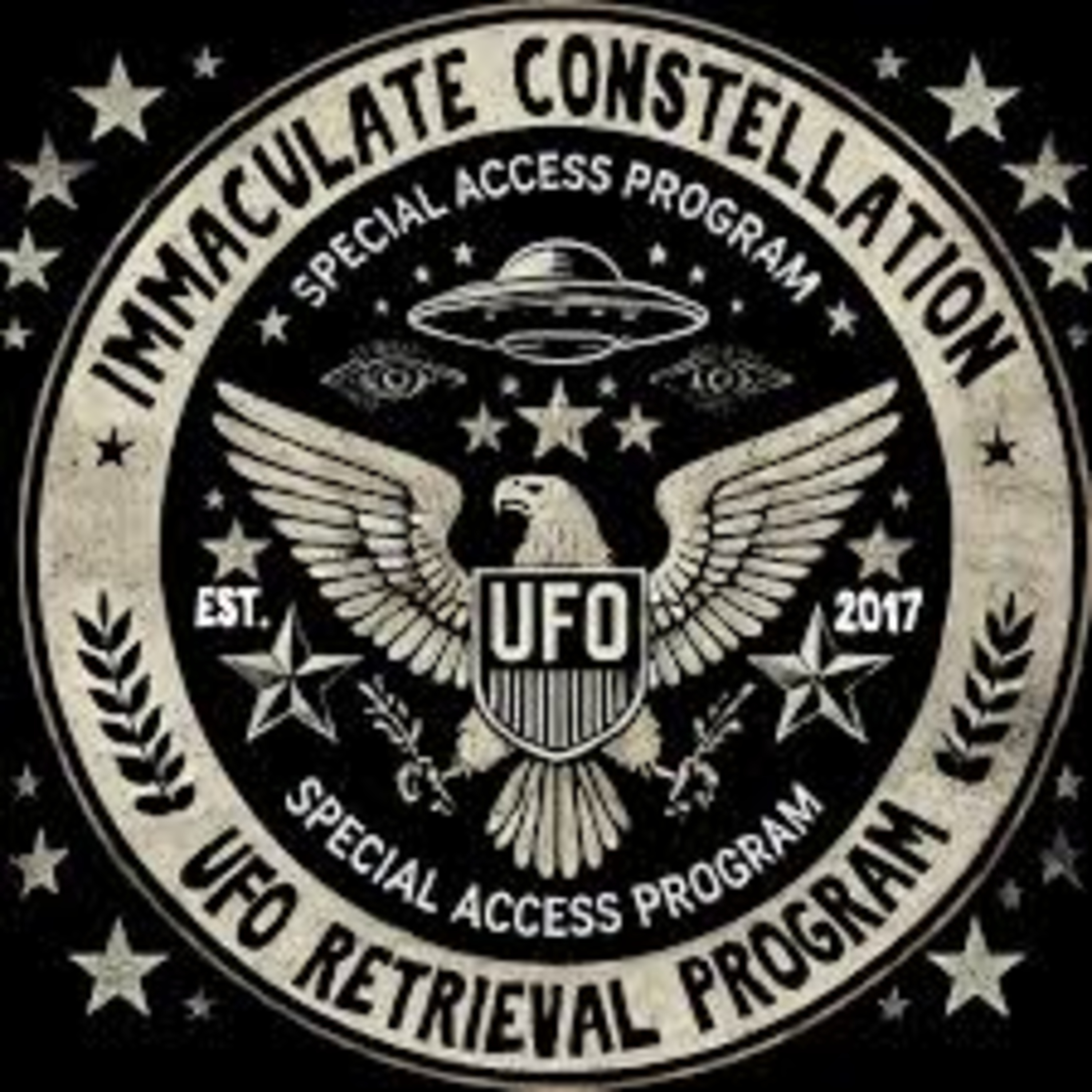 Immaculate Constellation | Pentagon UFO Secret Program Exposed By New Whistleblower | LeakYou.com