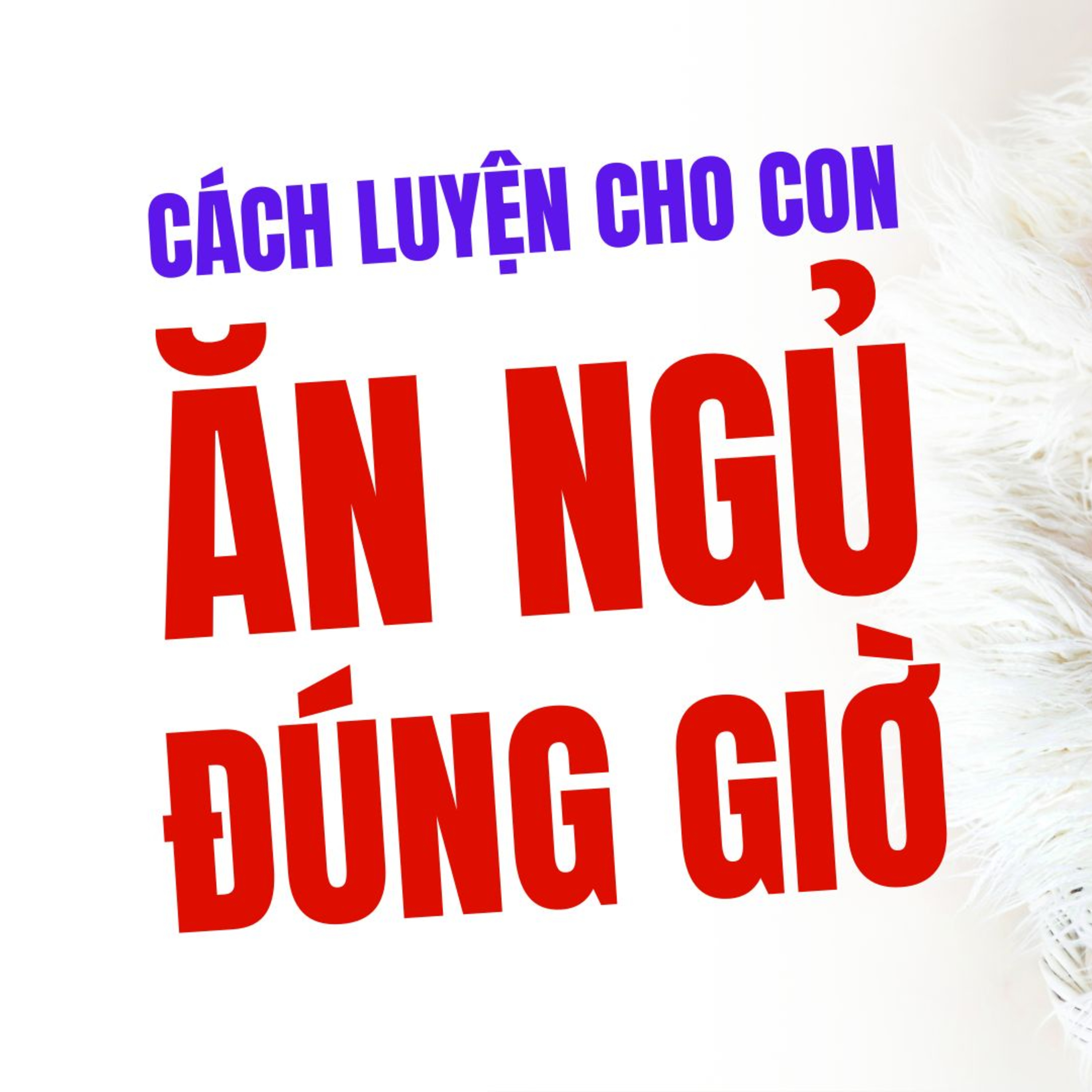 Cách Luyện Cho Con Ăn Ngủ Đúng Giờ – Khi Nào Nên Bắt Đầu?