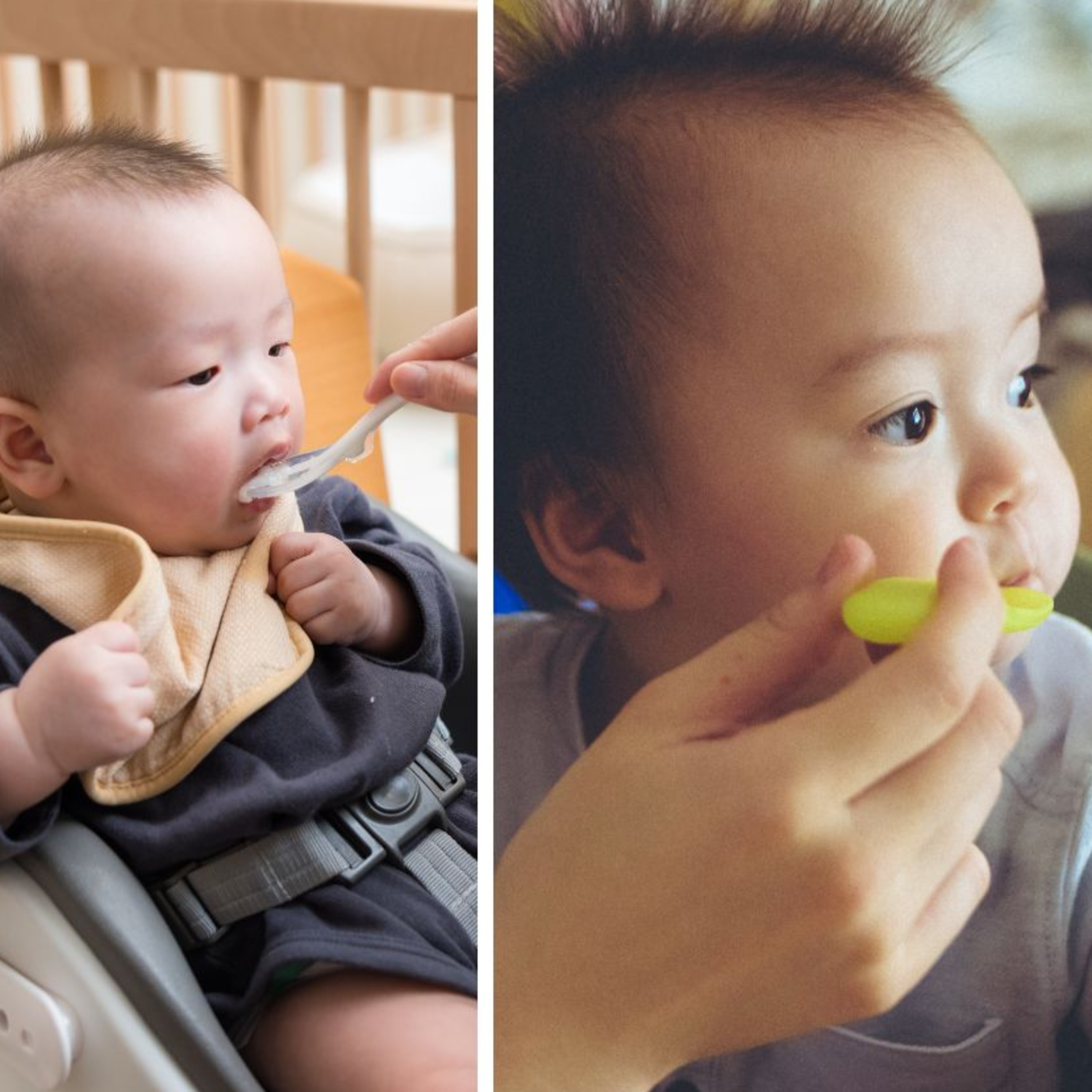 Chọn Phương Pháp Ăn Dặm Nào? So Sánh Ưu Nhược Điểm Truyền Thống, Kiểu Nhật, BLW & Kết Hợp