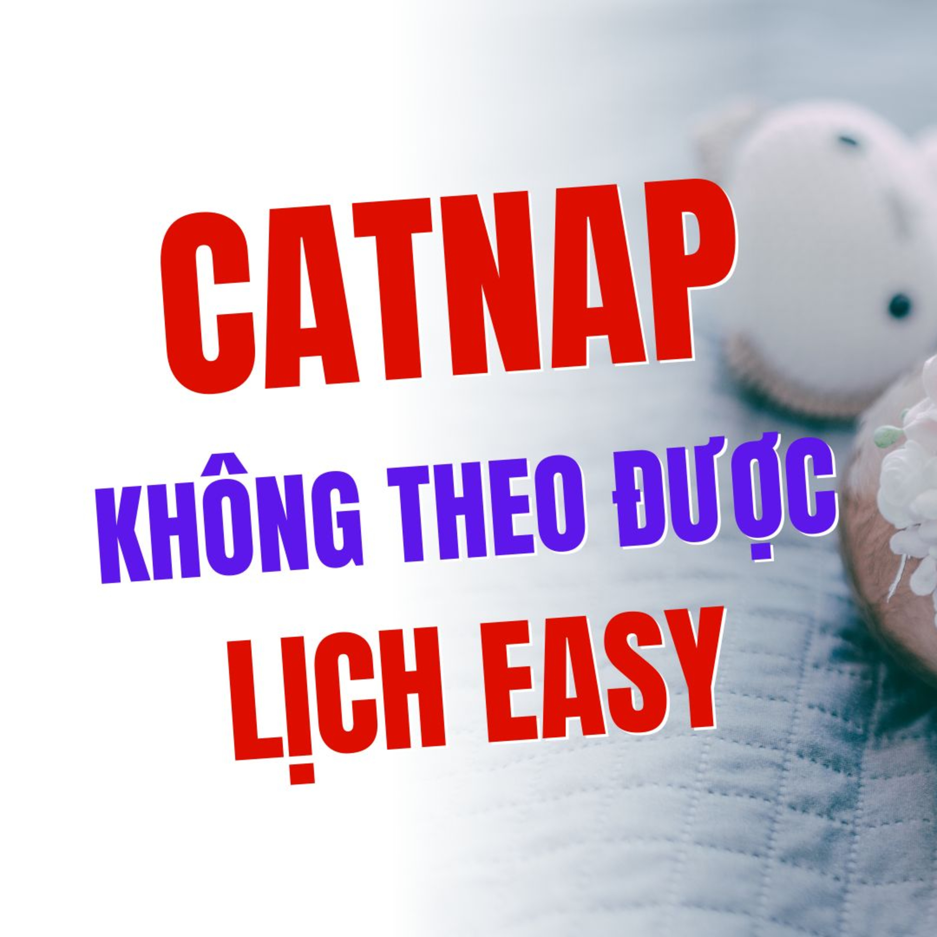 Bé CATNAP (Ngủ Ngắn) & KHÔNG THEO ĐƯỢC LỊCH EASY? Mẹ Phải Làm Sao? (Giải Pháp Chi Tiết)