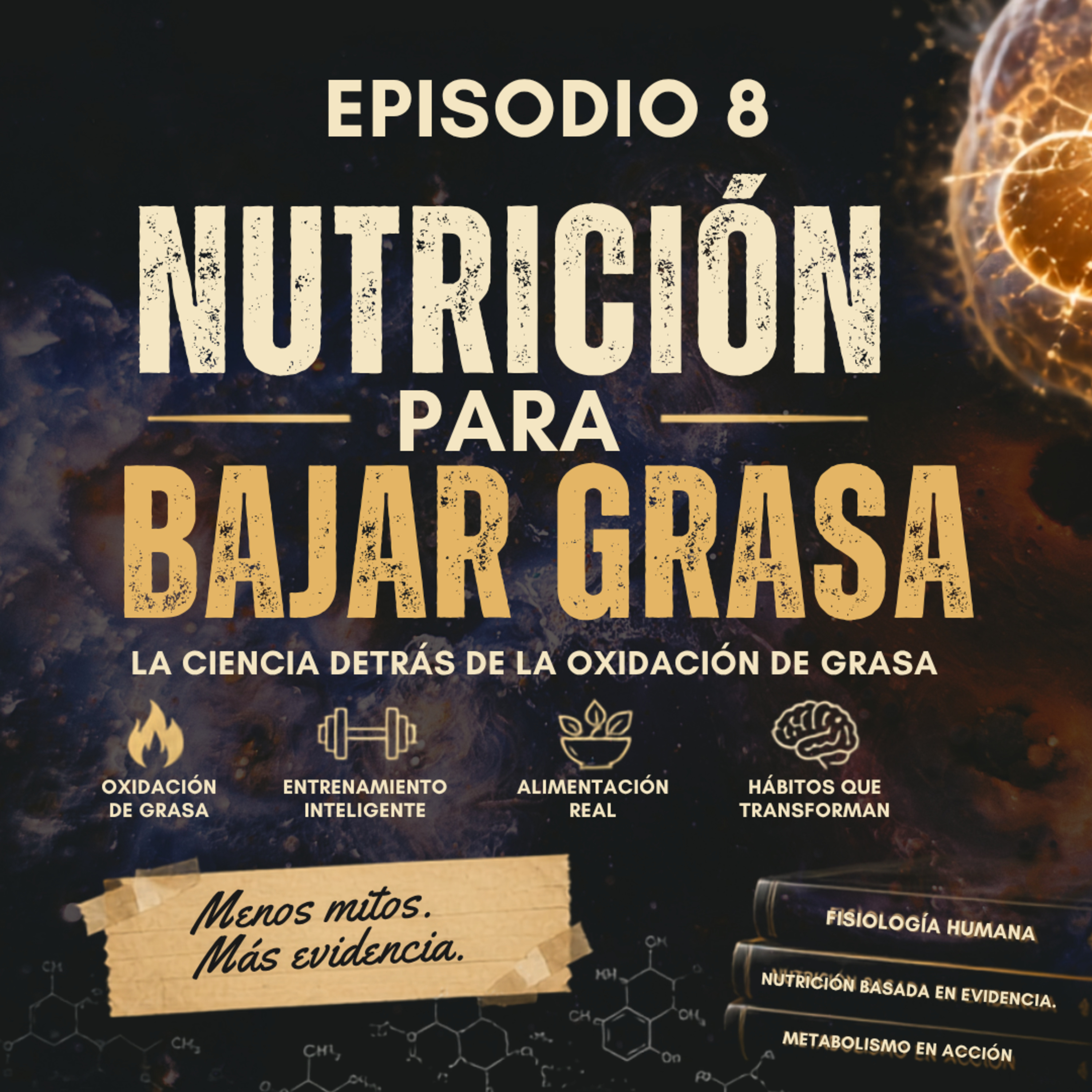 🔥 OXIDACIÓN DE GRASA: LA CIENCIA QUE NADIE TE EXPLICA 🔥BITÁCORA CIENTÍFICA #8