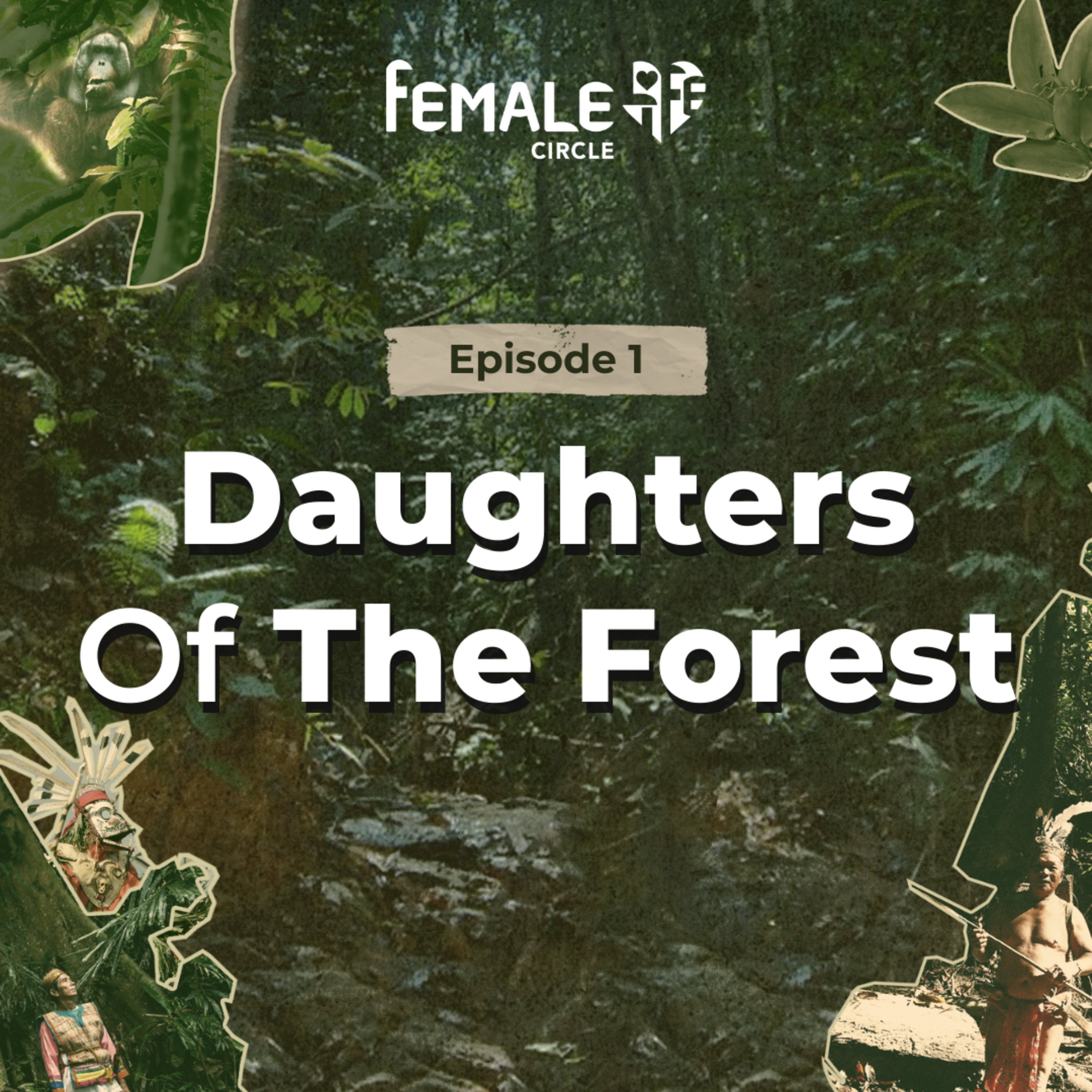 Daughters Of The Forest