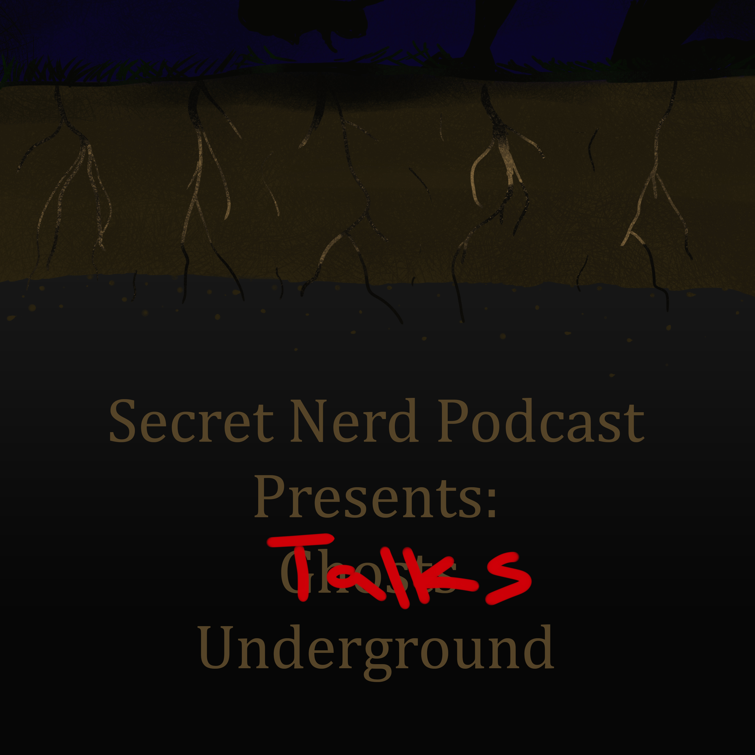 Secret Nerd Podcast
