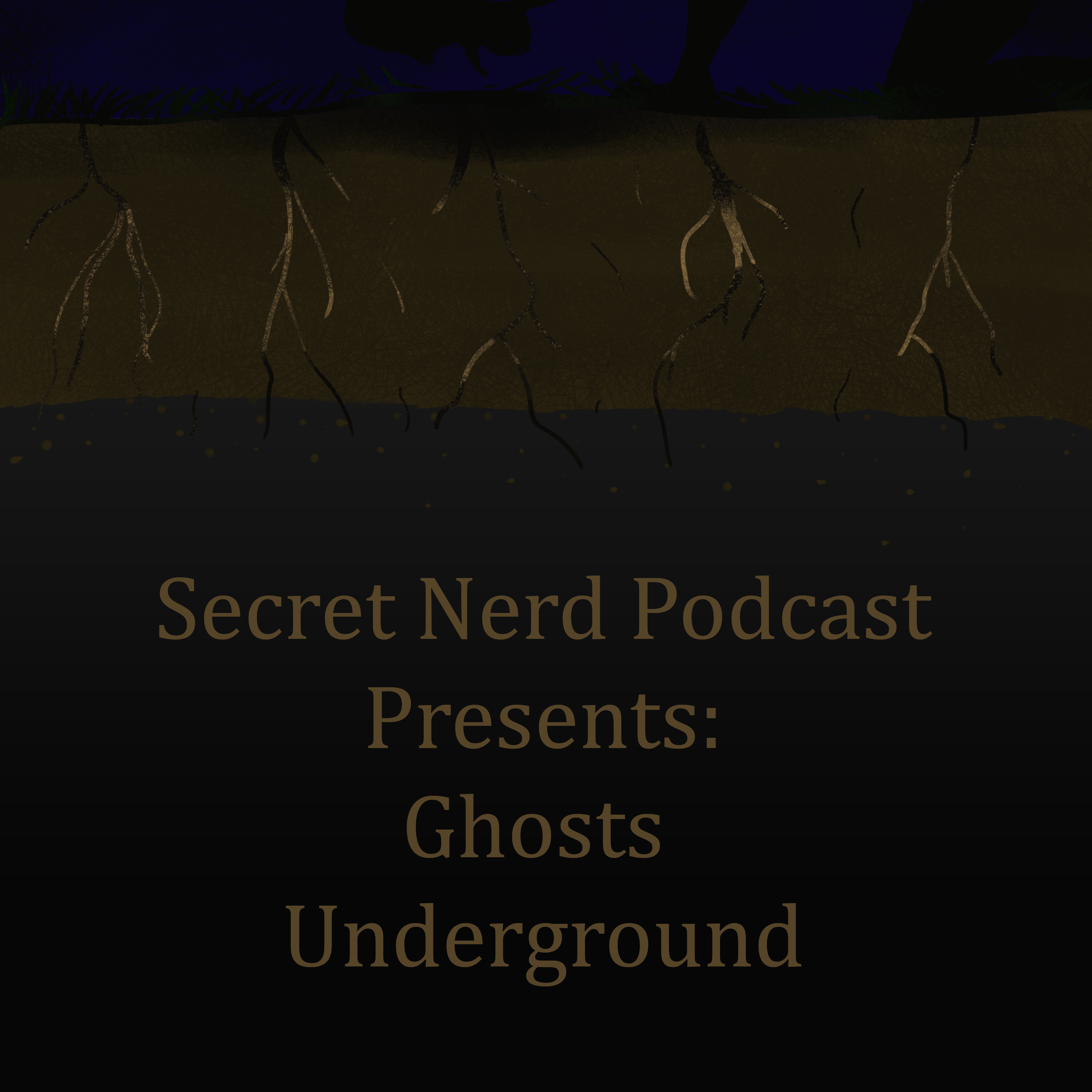 Secret Nerd Podcast