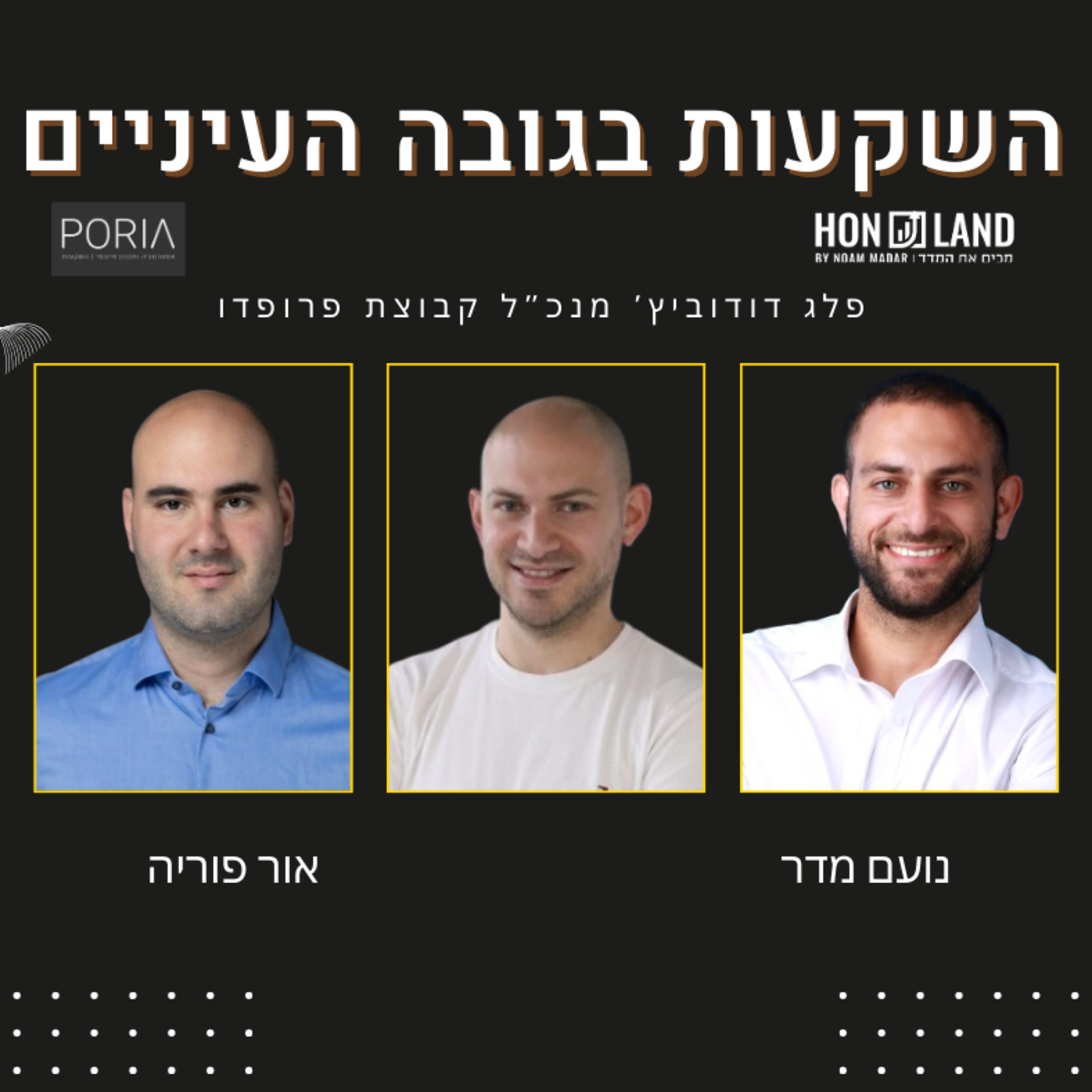 מי שינצלו נכון את המצב בשוק הנדל”ן יהיו המיליארדרים הבאים(עם פלג דודוביץ' מנכ"ל קבוצת פרופדו)