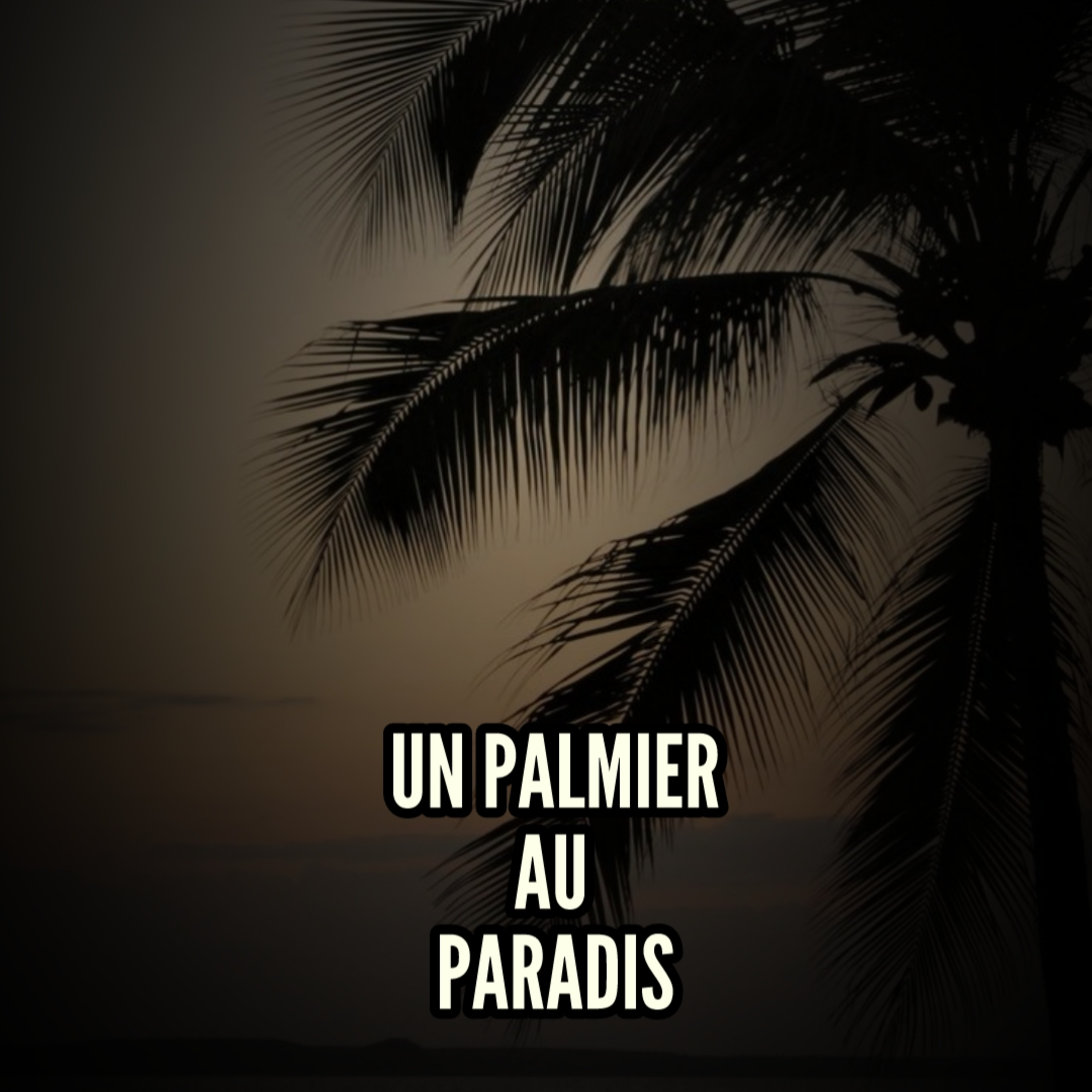 Un palmier au paradis  episode artwork