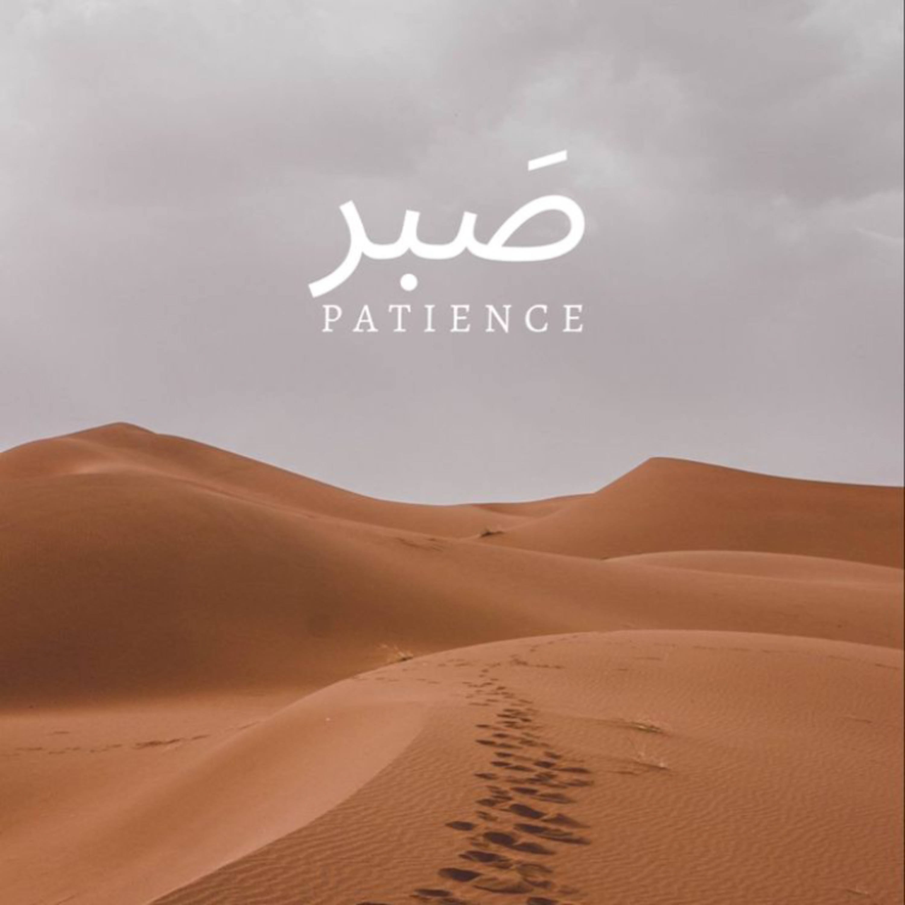 Cheikh Muqbil, rit de ses épreuves episode artwork