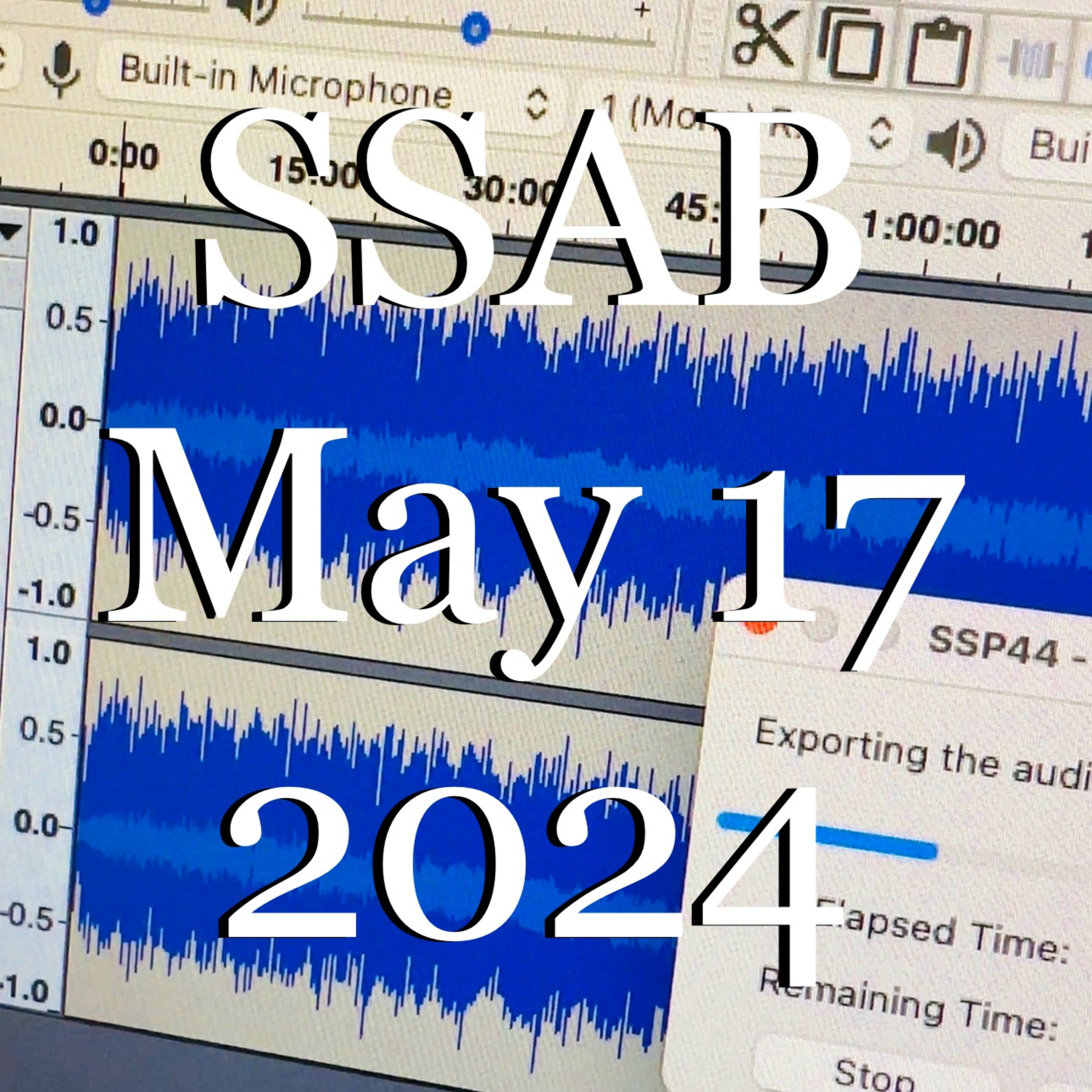 The Audio Blog of Steven Sirski