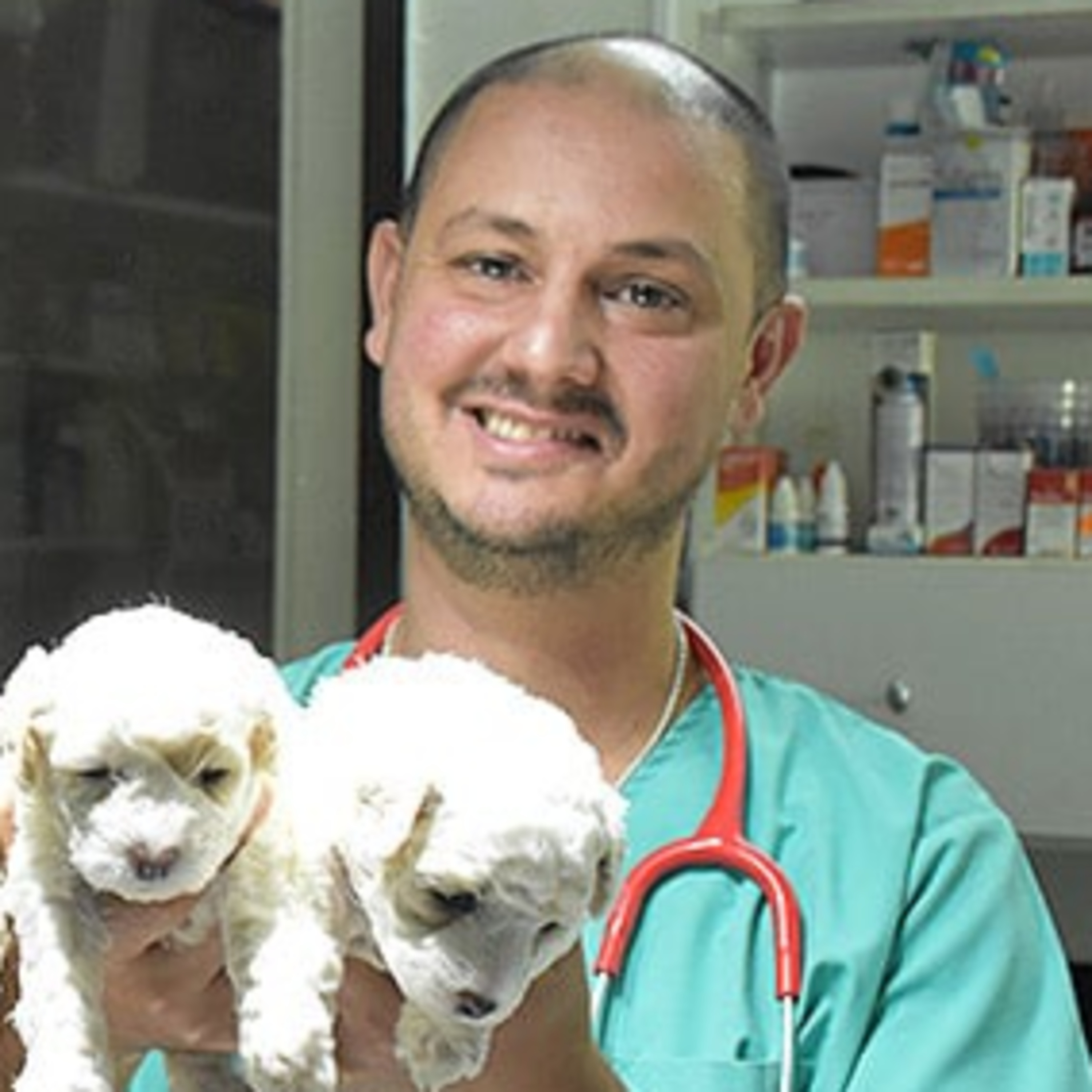 Hernán Lepiscopo episode artwork