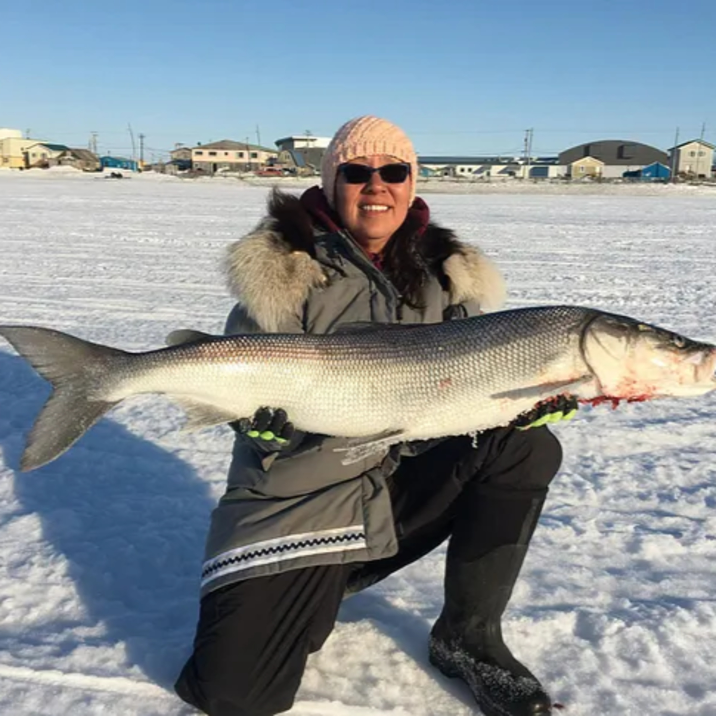 The Alaska Fisheries Report from KMXT