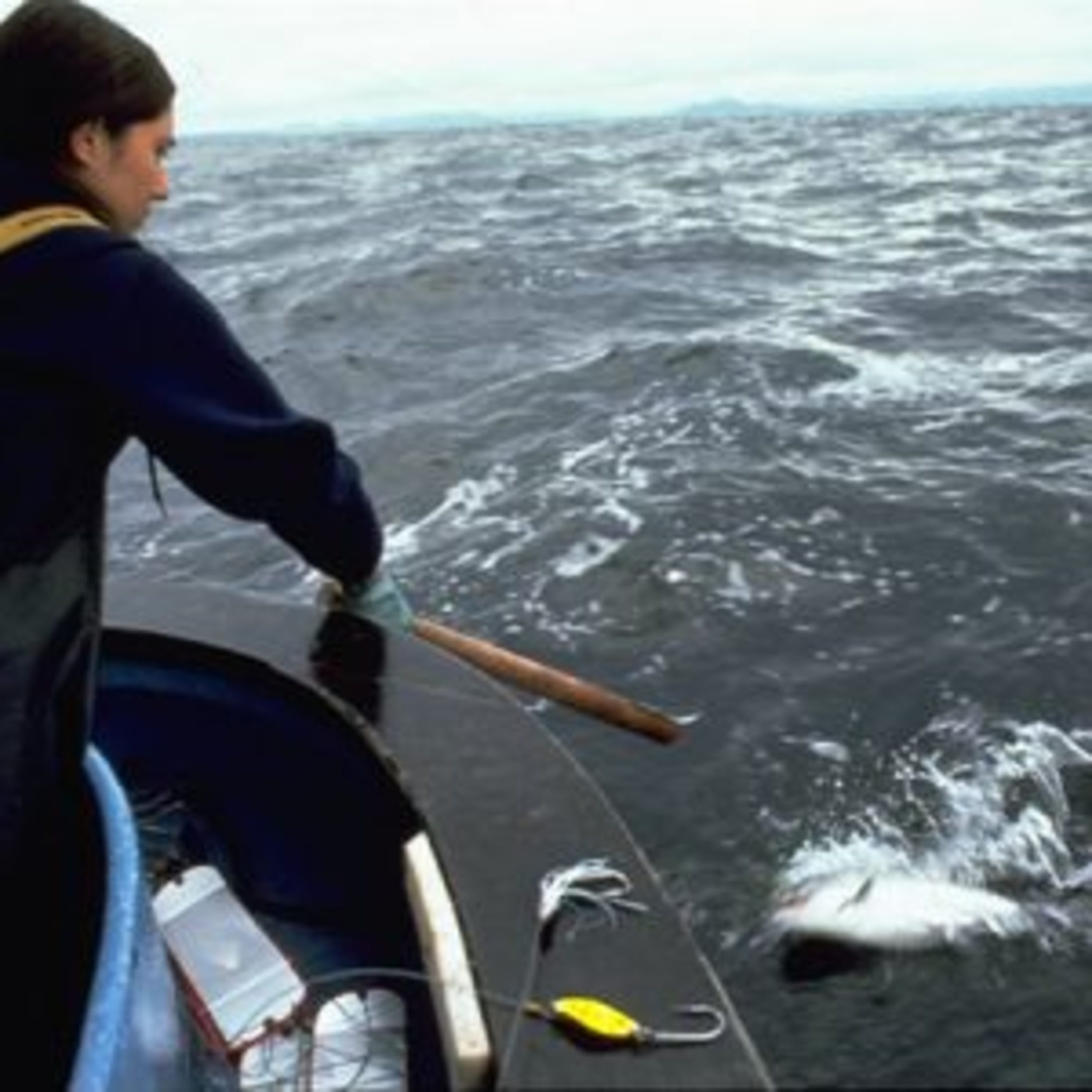 The Alaska Fisheries Report from KMXT