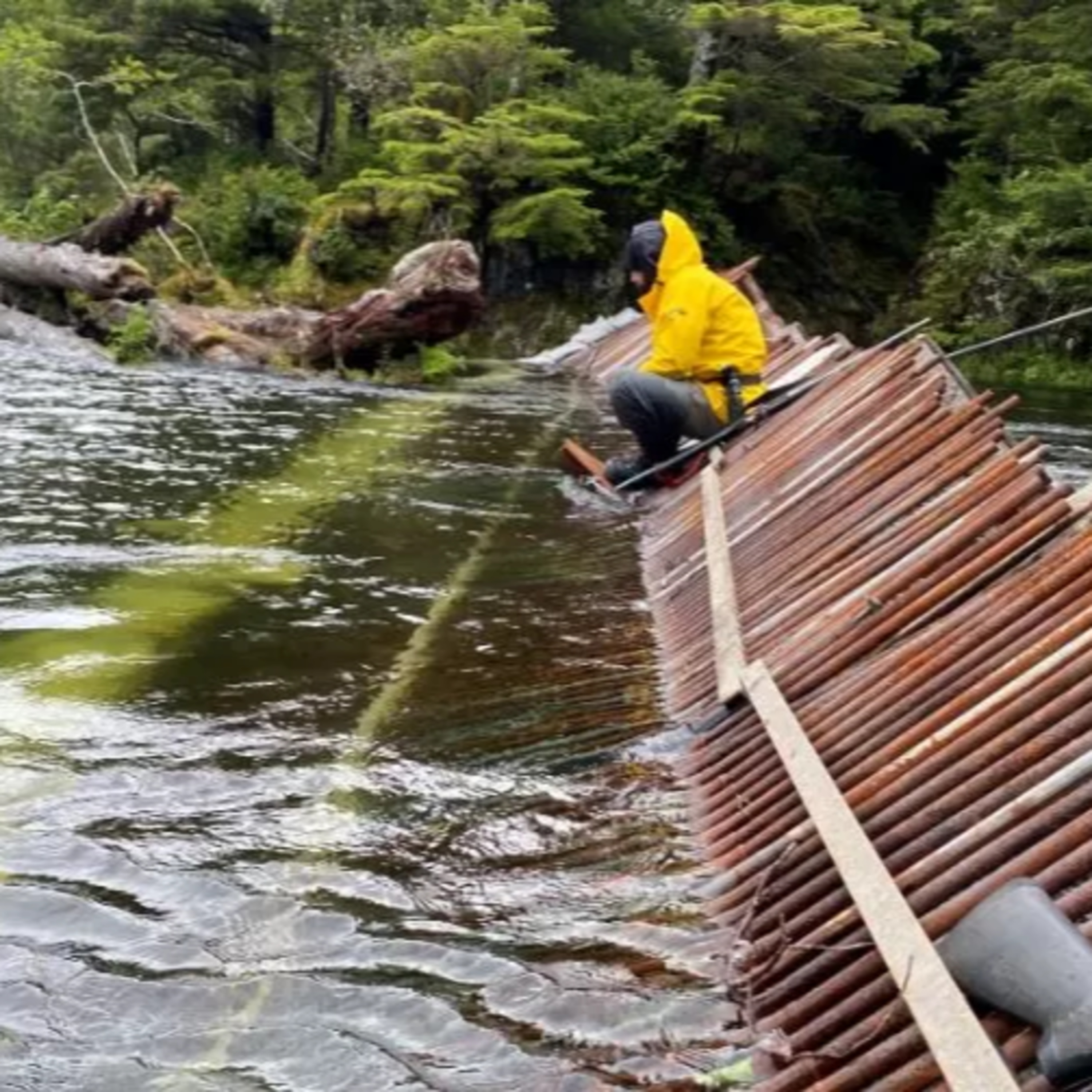 The Alaska Fisheries Report from KMXT