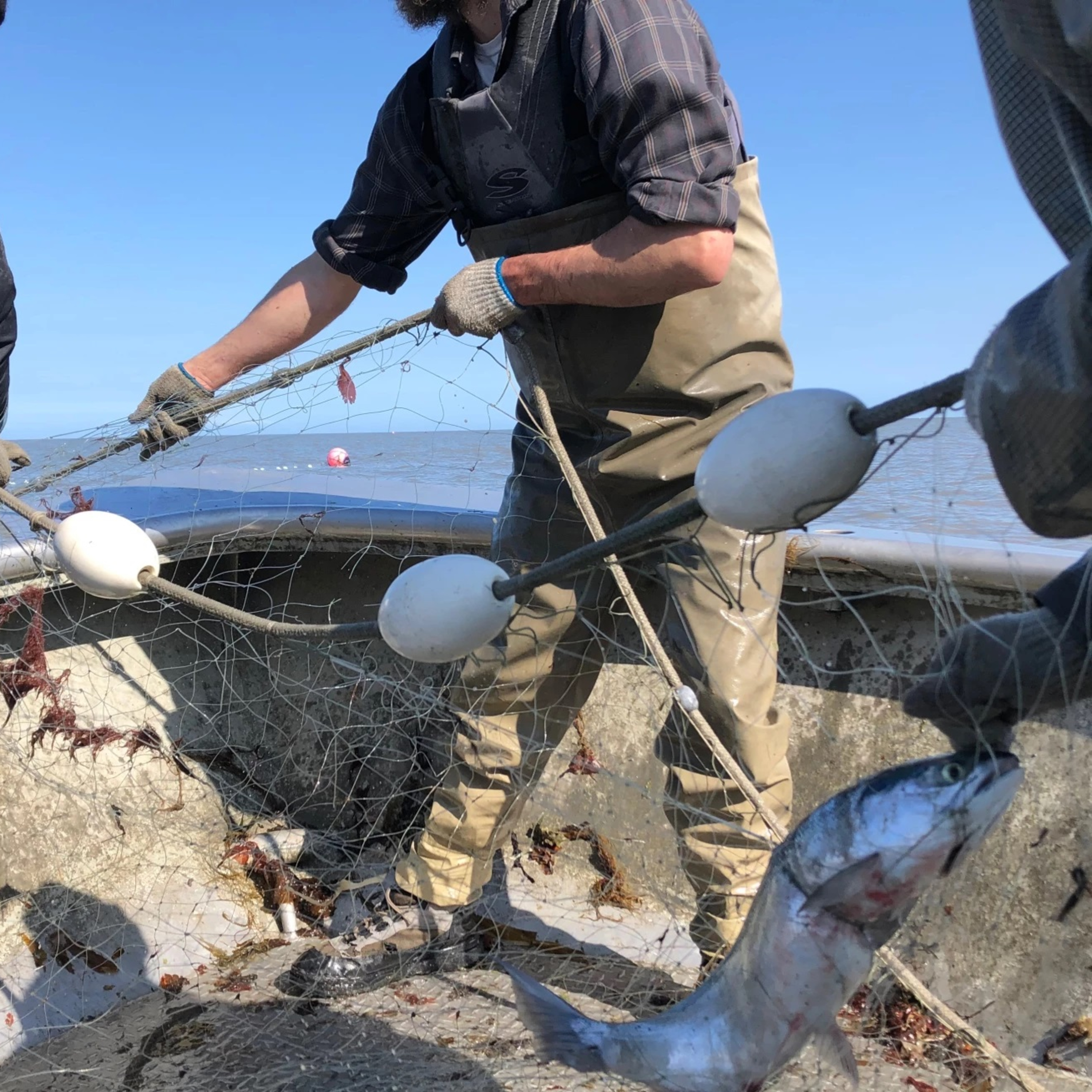 The Alaska Fisheries Report from KMXT