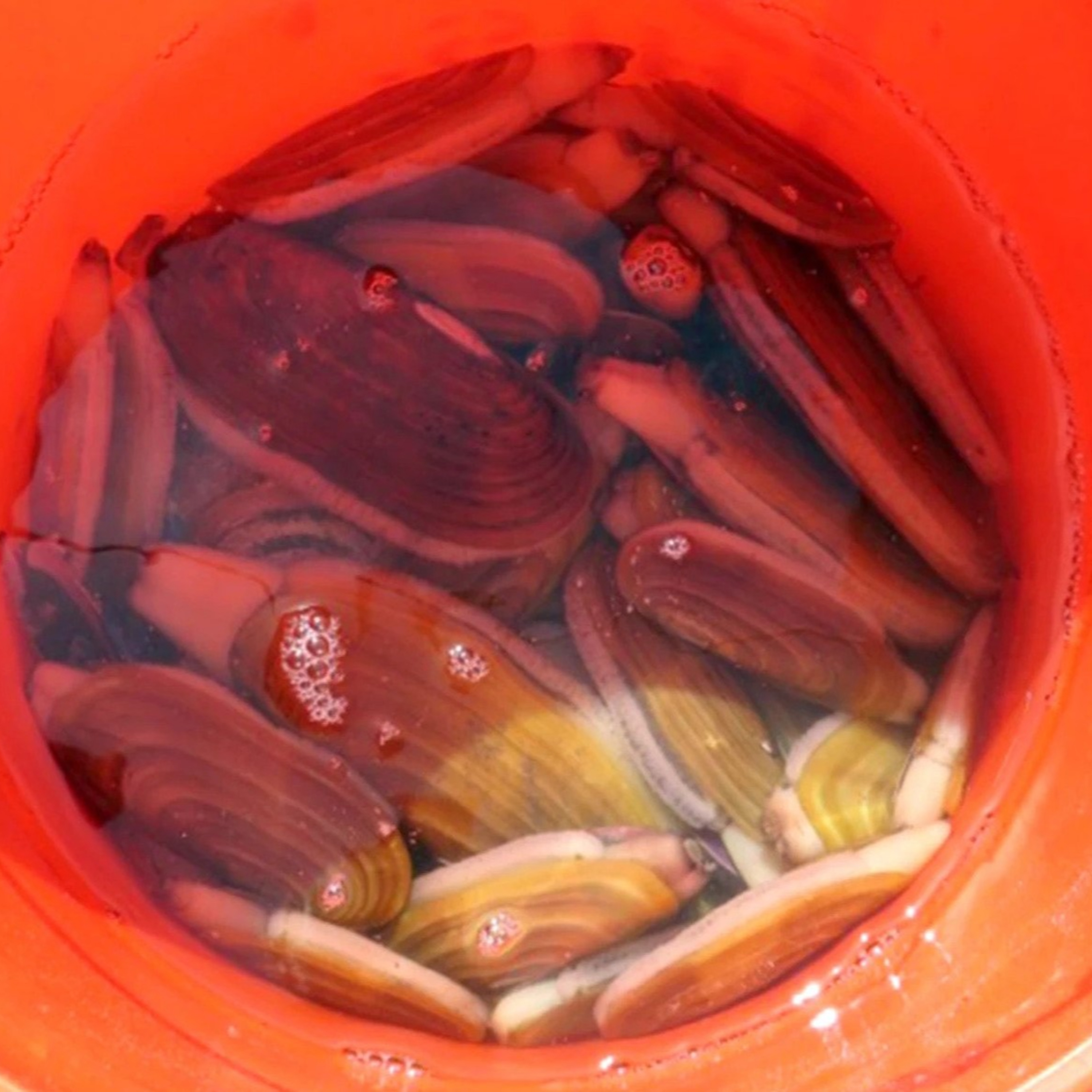 The Alaska Fisheries Report from KMXT