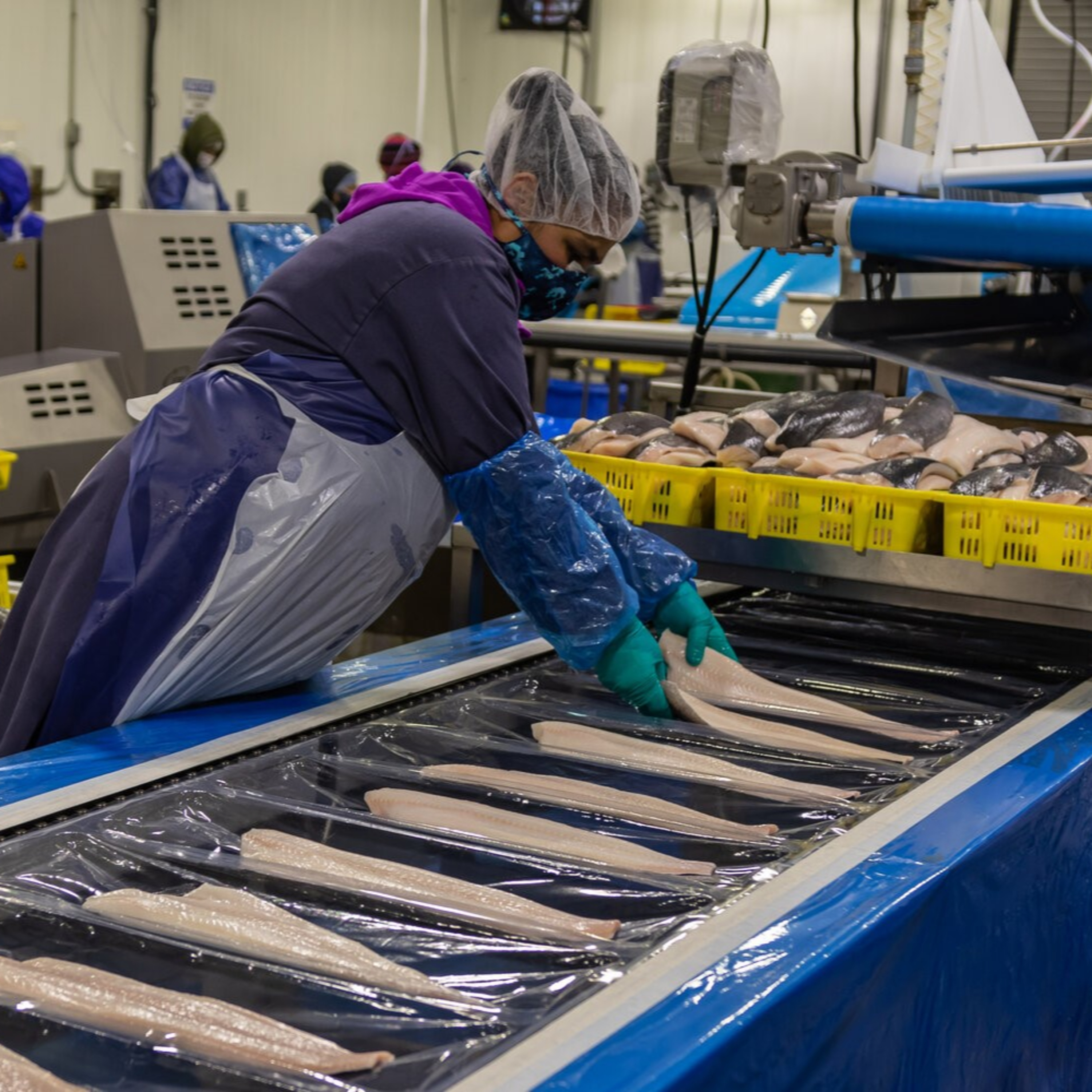 The Alaska Fisheries Report from KMXT