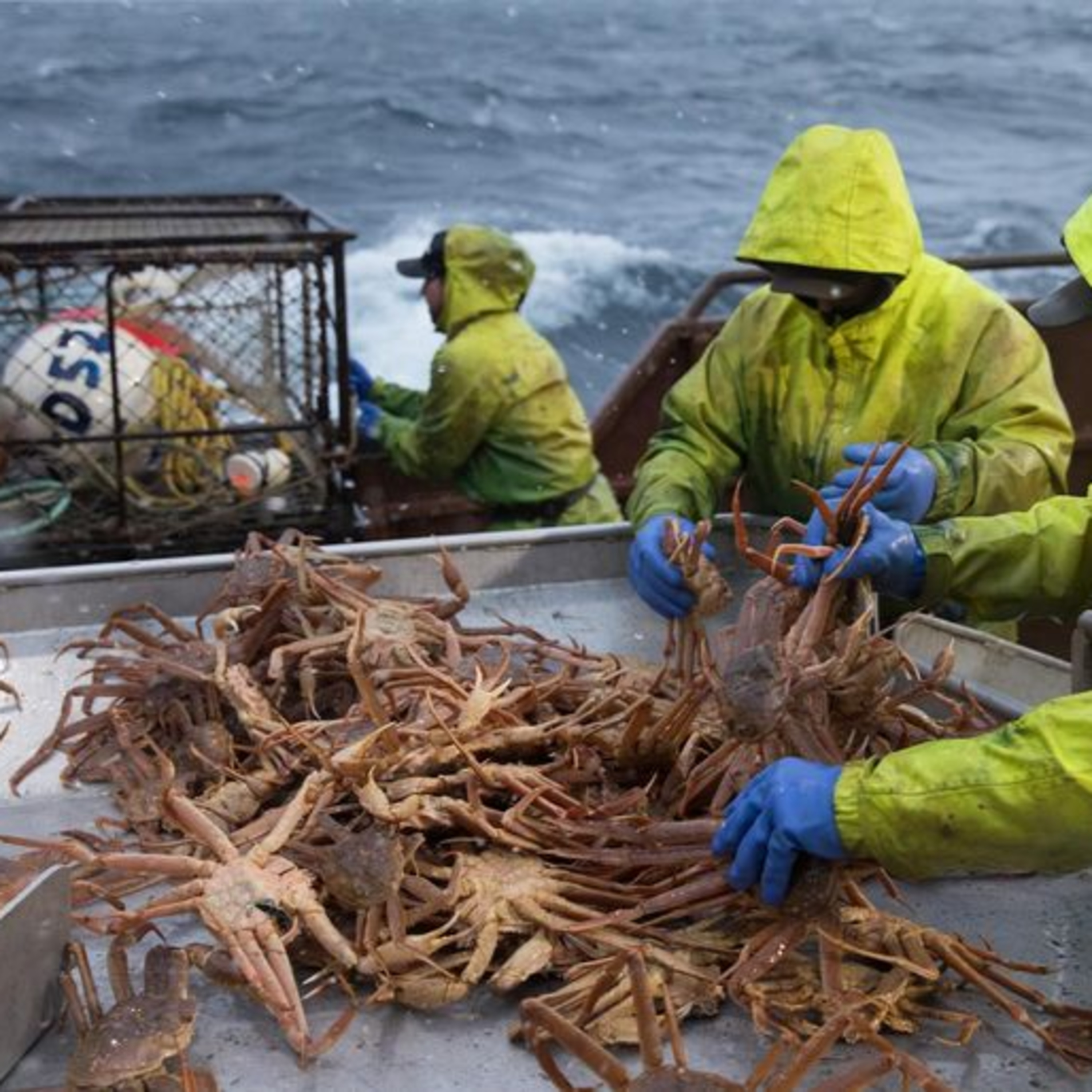 The Alaska Fisheries Report from KMXT