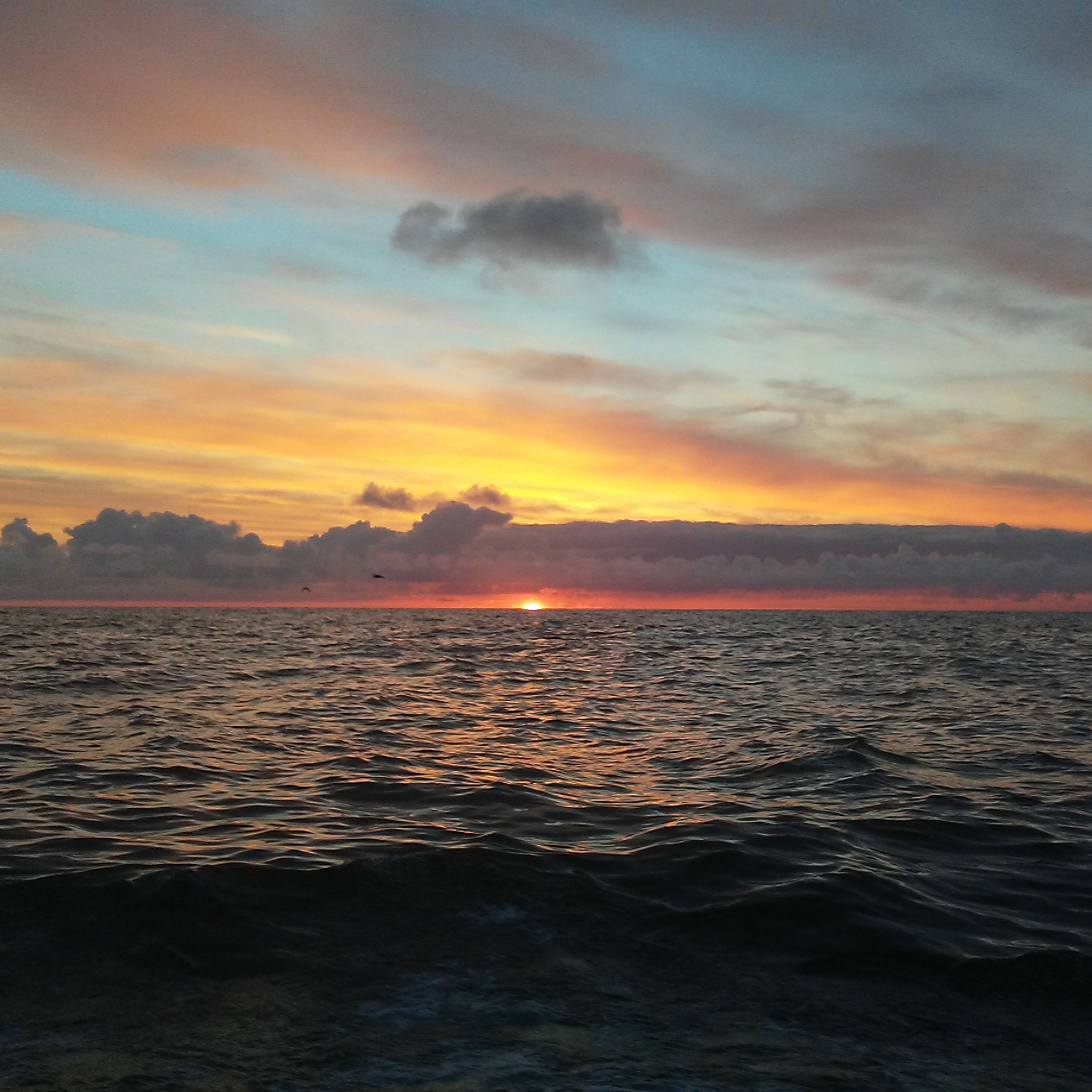 The Alaska Fisheries Report from KMXT