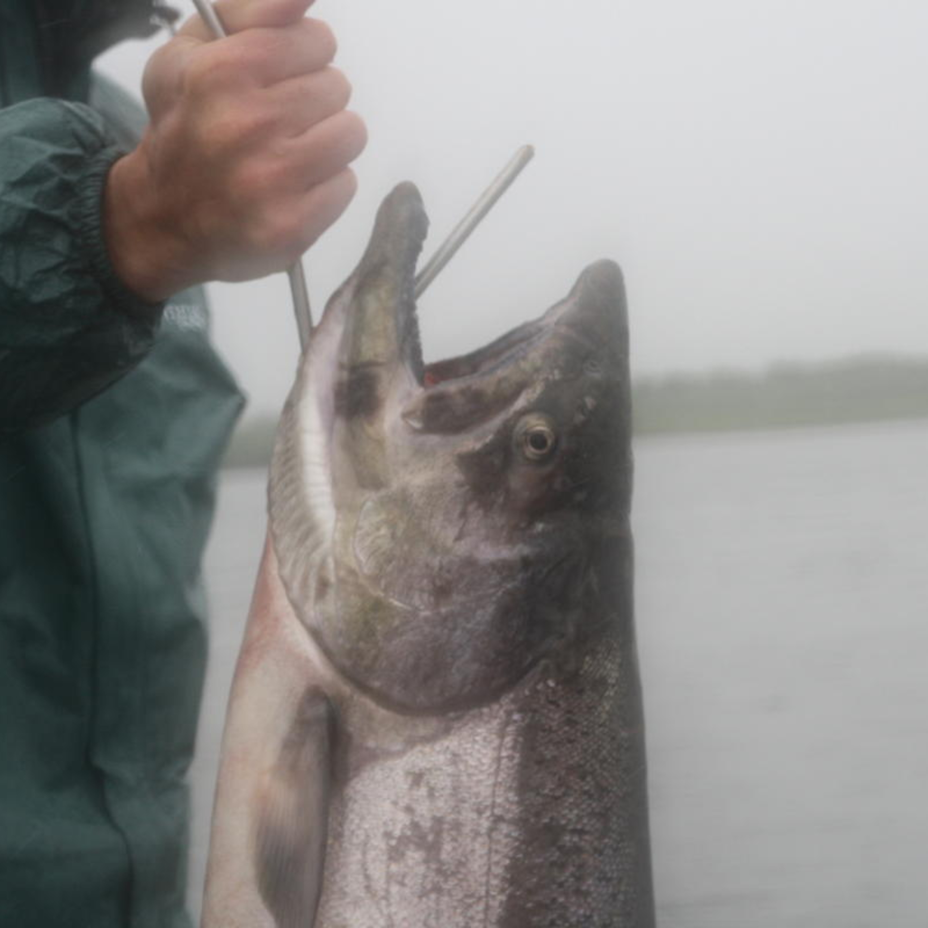 The Alaska Fisheries Report from KMXT