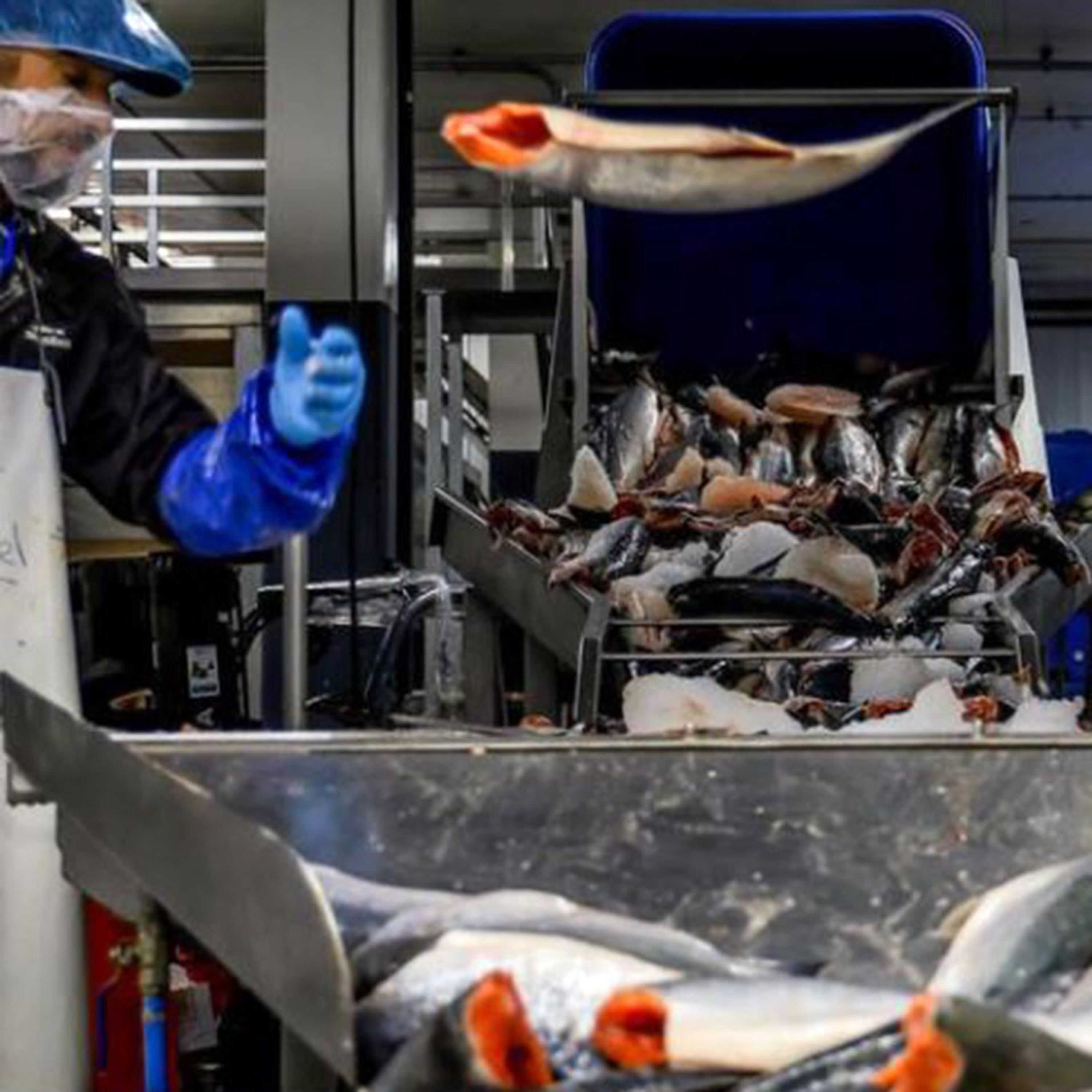 The Alaska Fisheries Report from KMXT