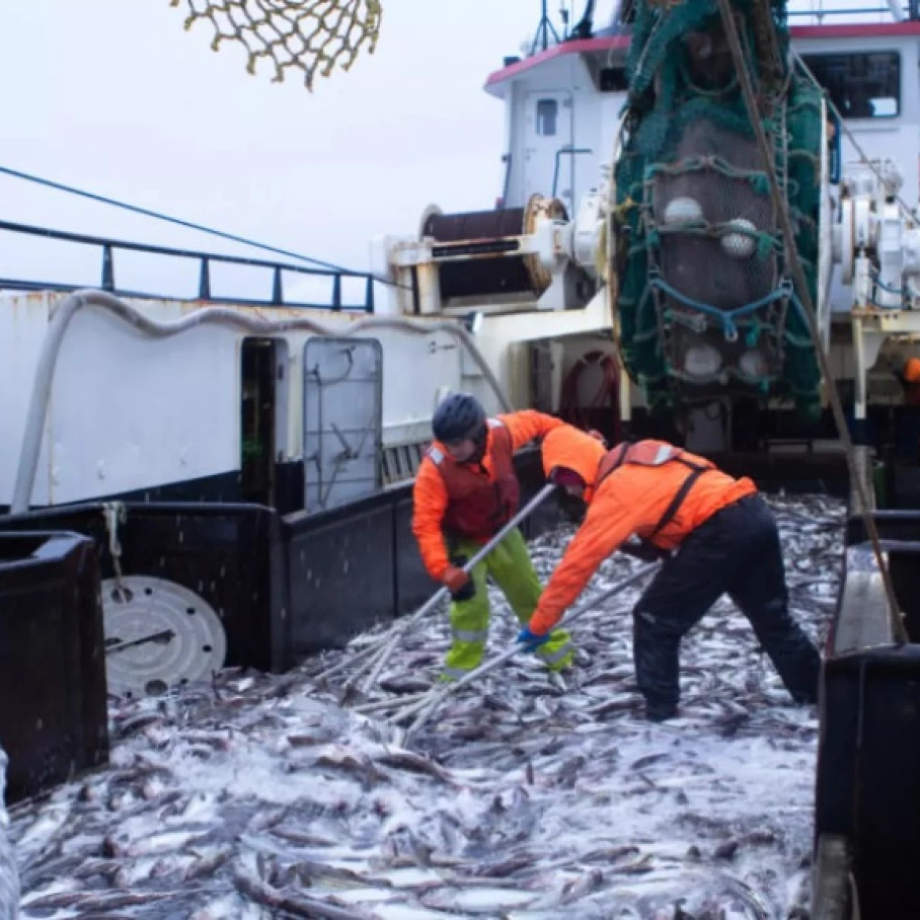 The Alaska Fisheries Report from KMXT