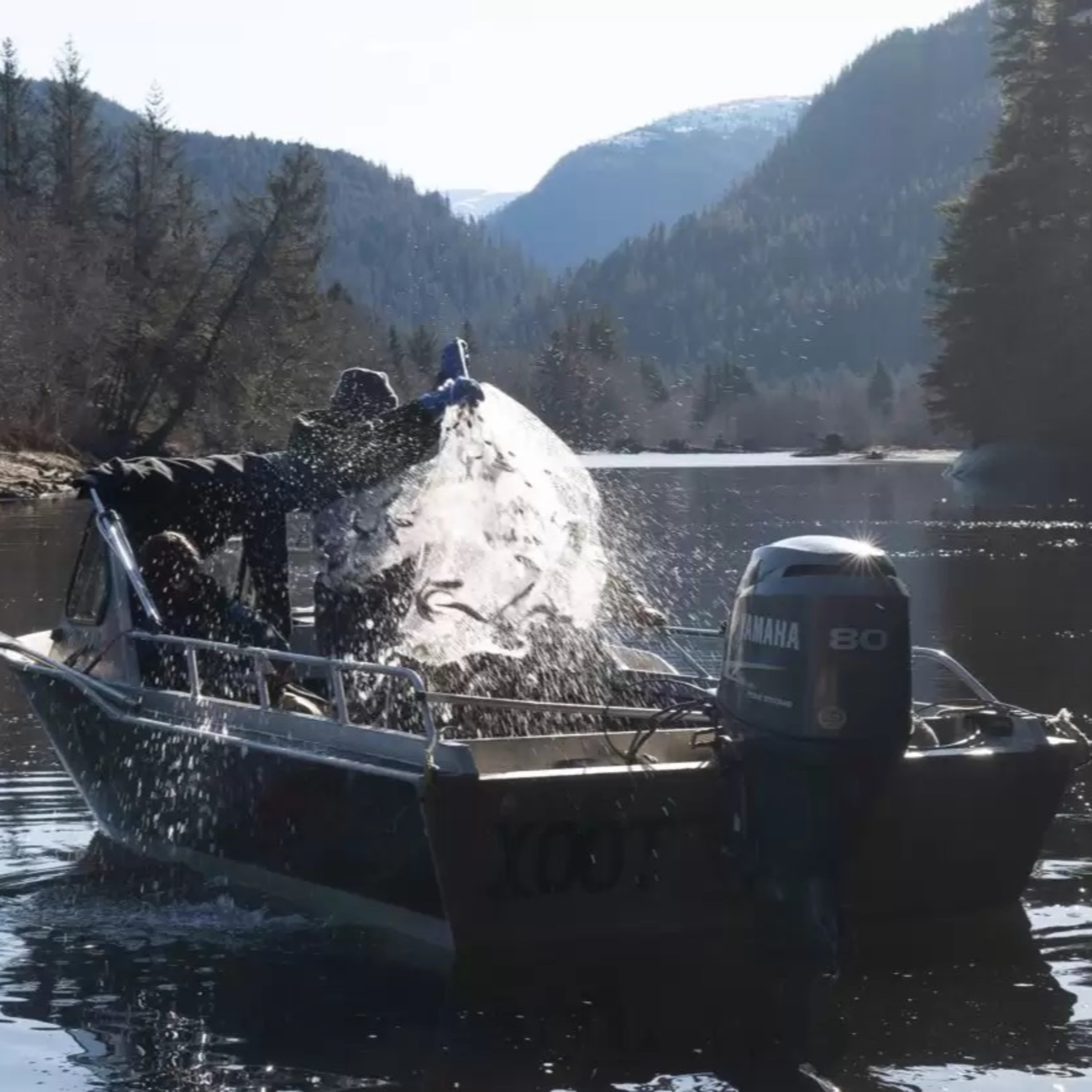 The Alaska Fisheries Report from KMXT
