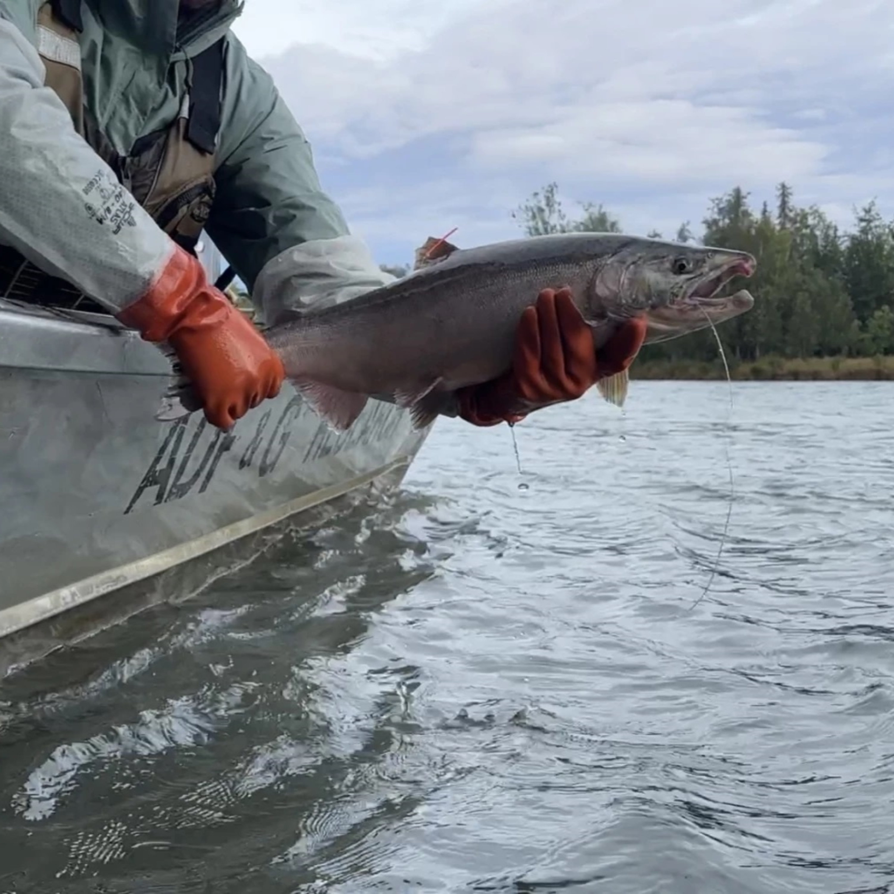 The Alaska Fisheries Report from KMXT