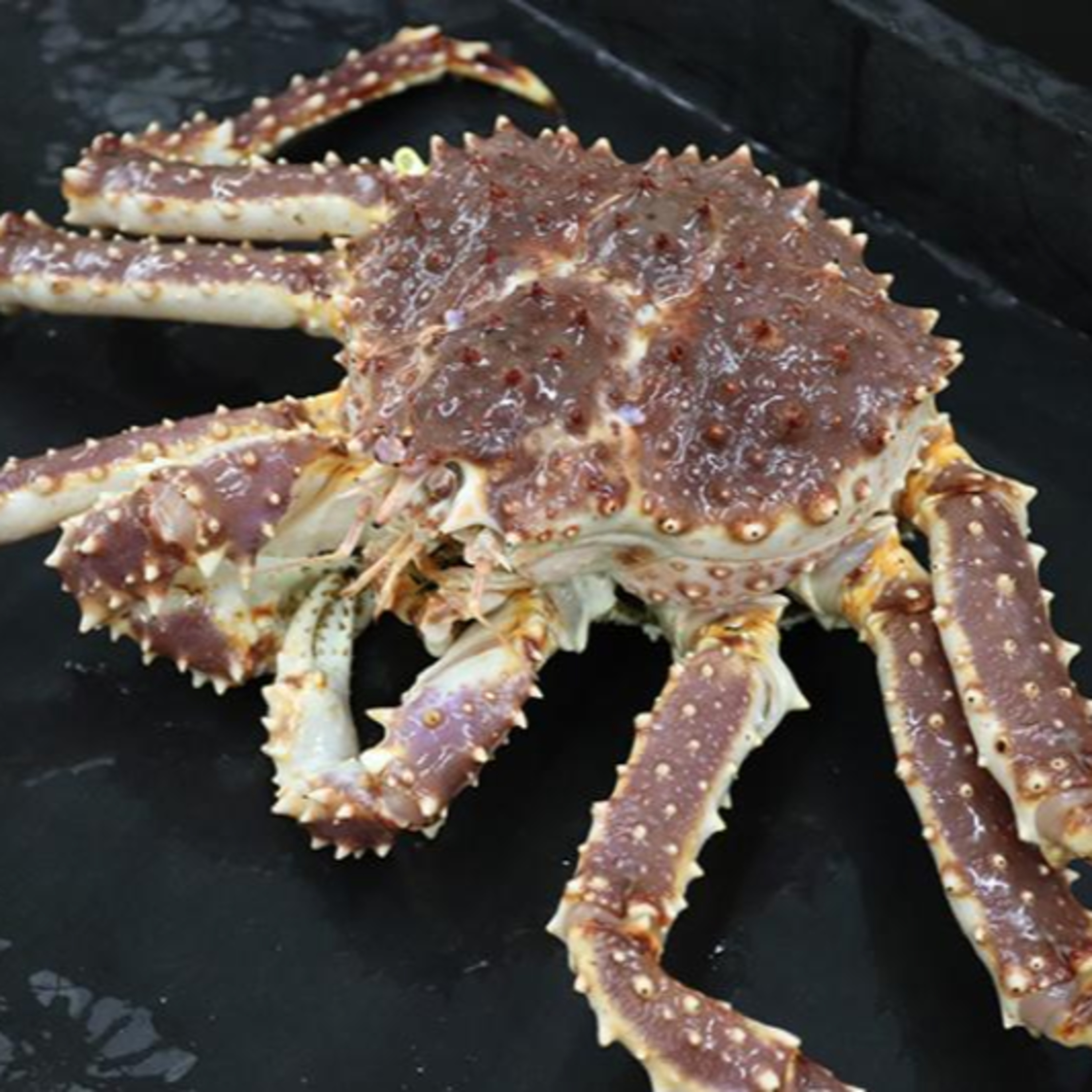 The Alaska Fisheries Report from KMXT